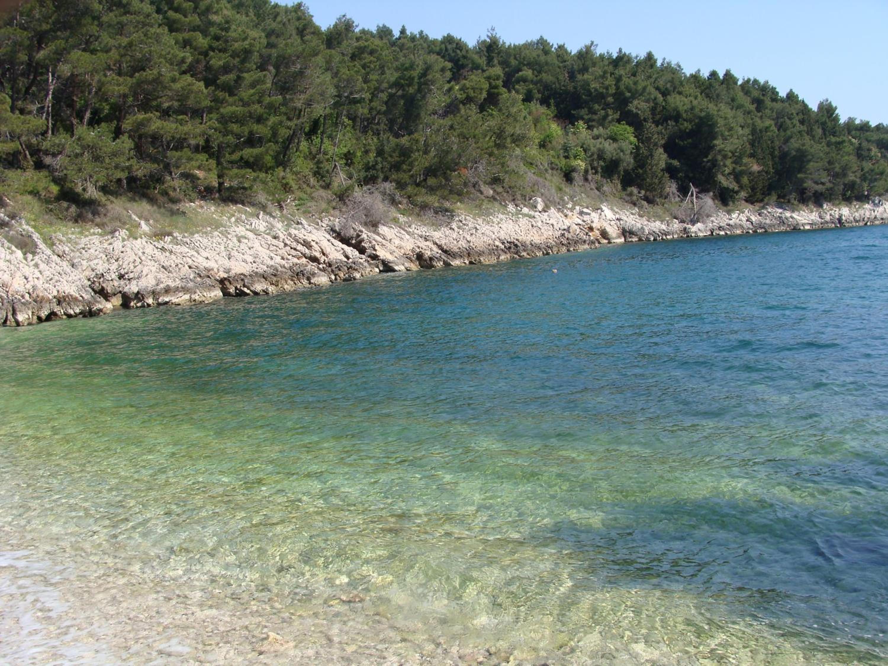 Photo 50