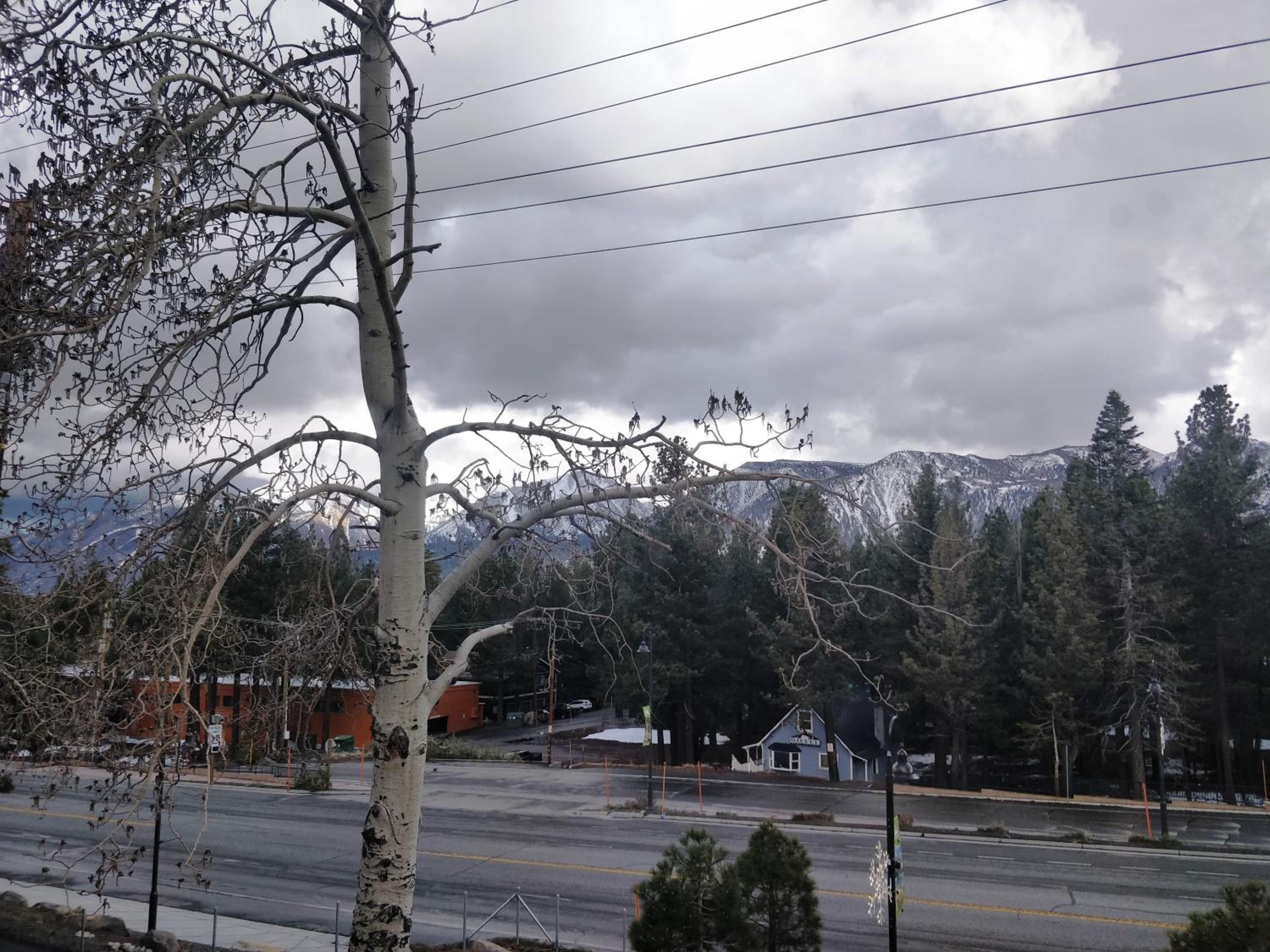 Ventura Grand Inn view 4