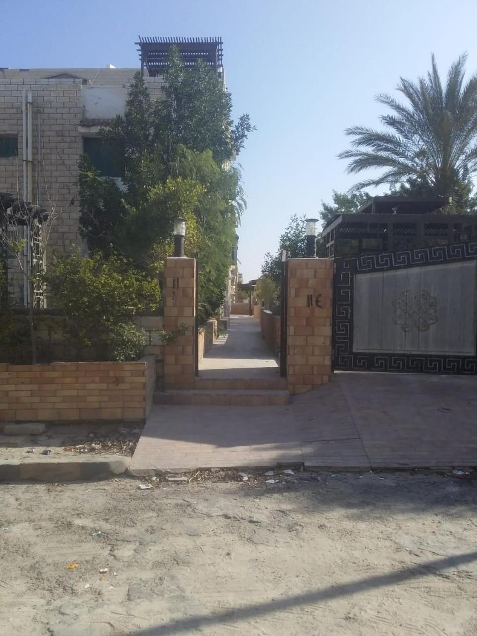 Photo 7