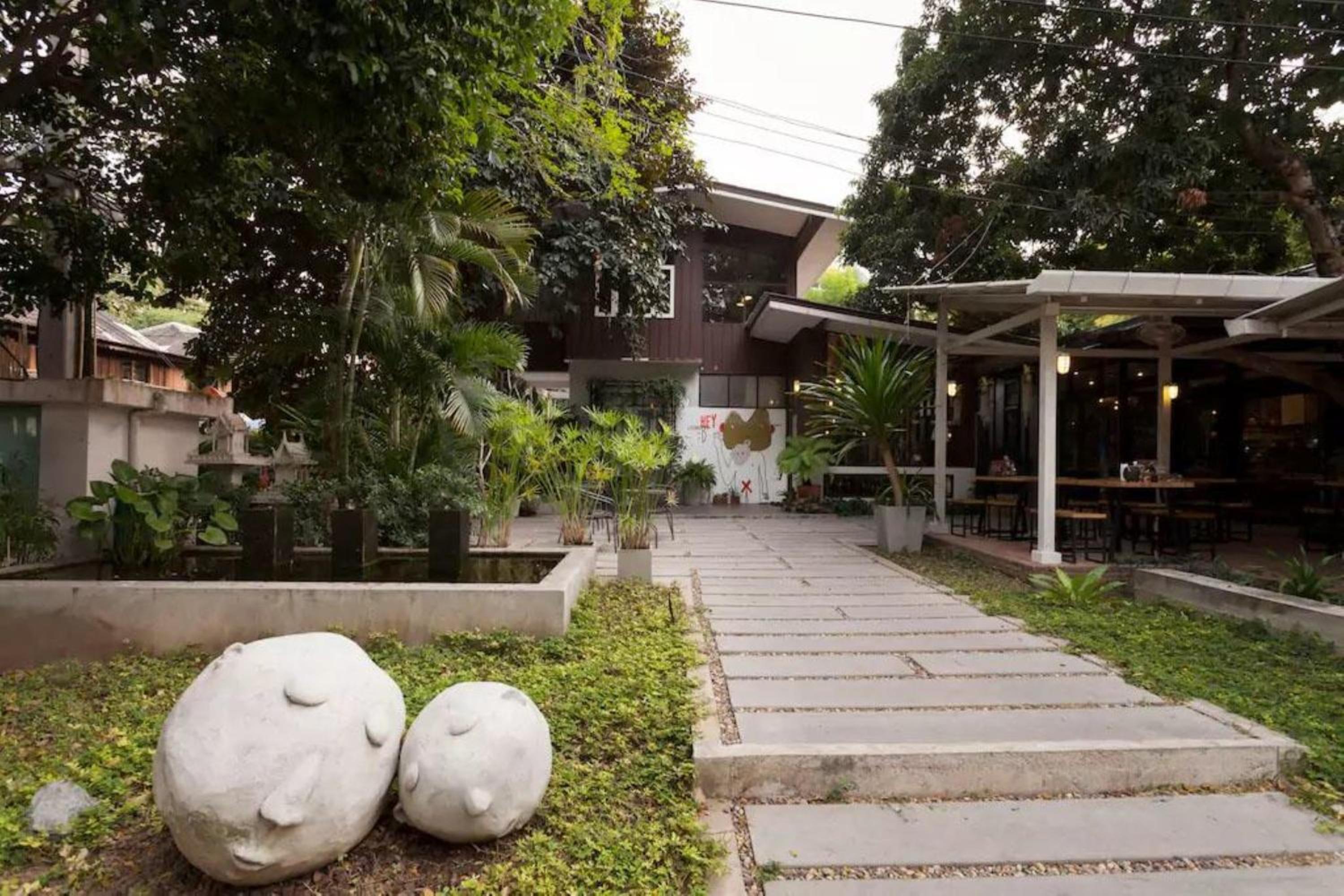 Chiang Mai D Hostel