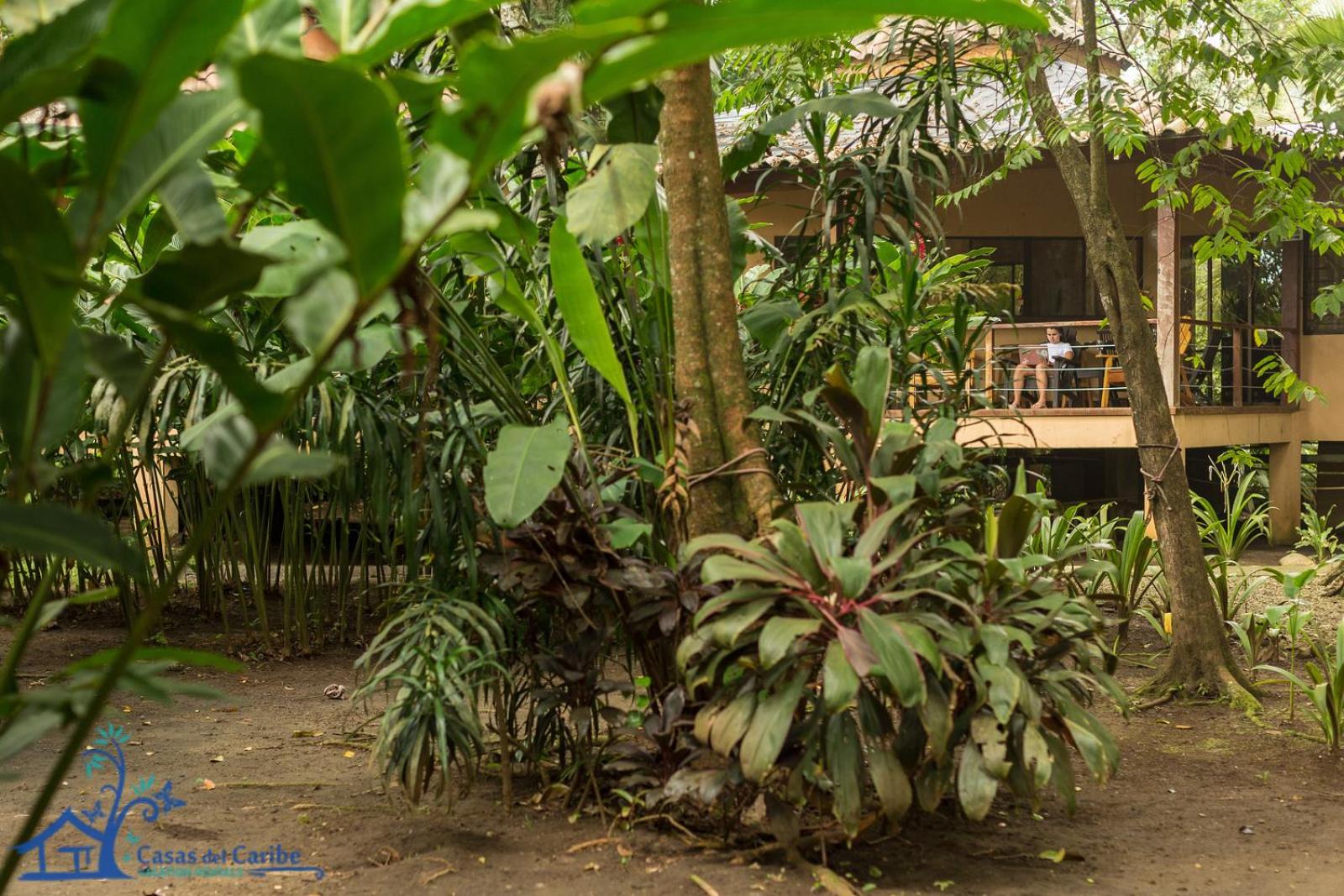 Casa Koda Beach Front