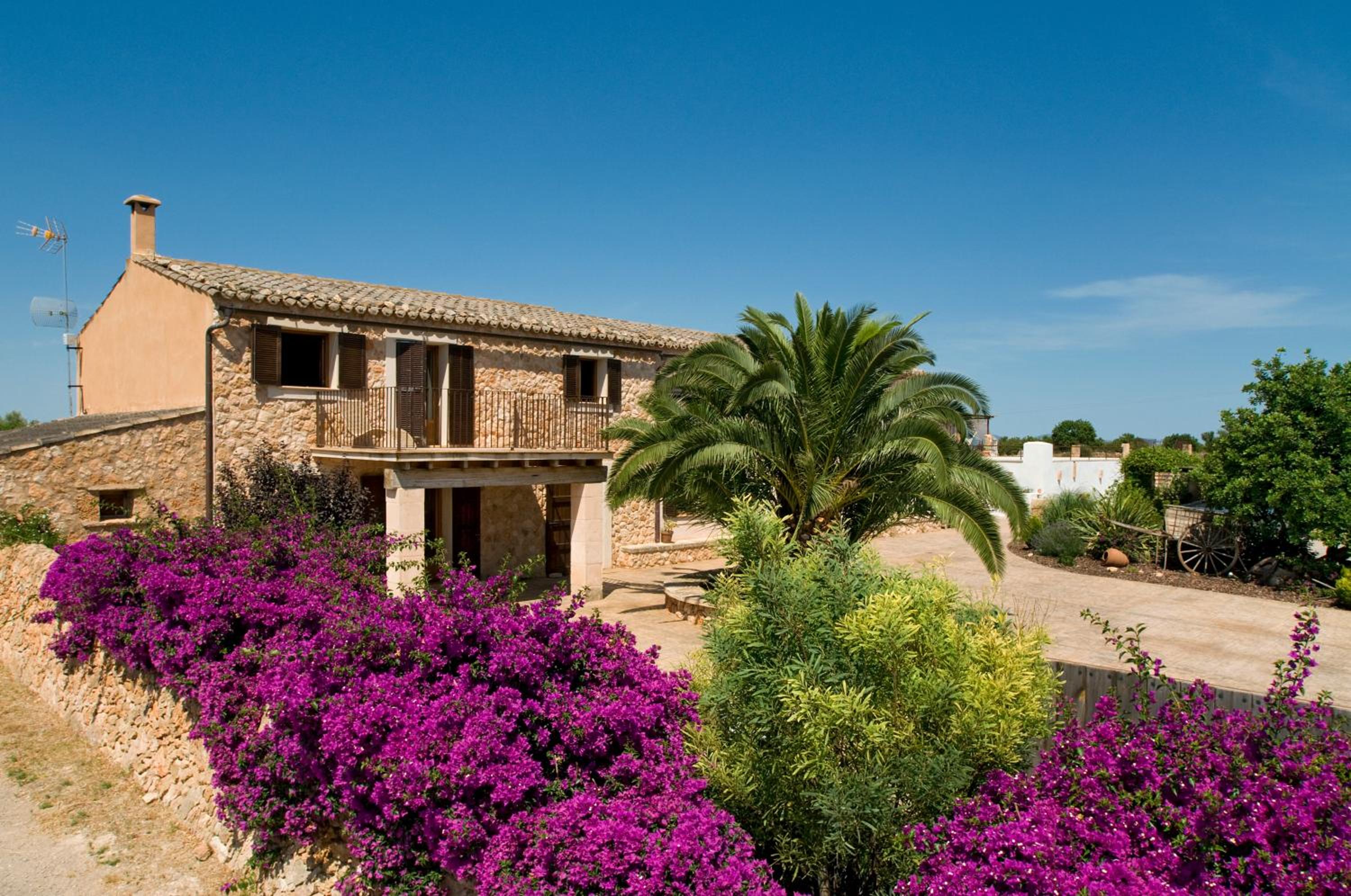 Finca Agroturismo Can Carro