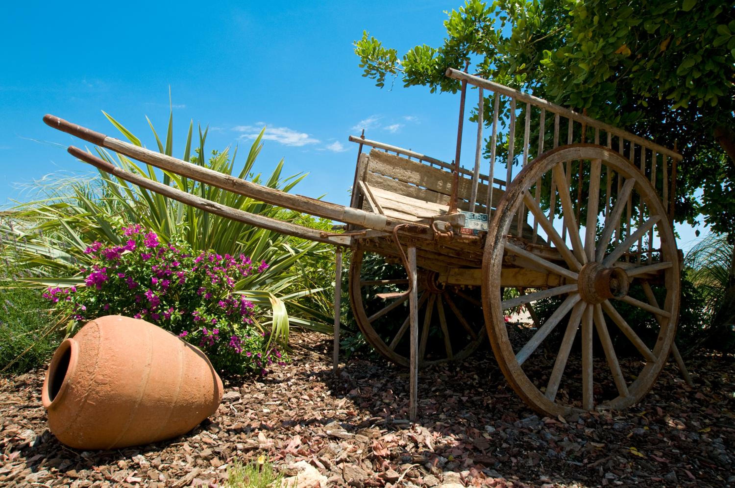 Finca Agroturismo Can Carro
