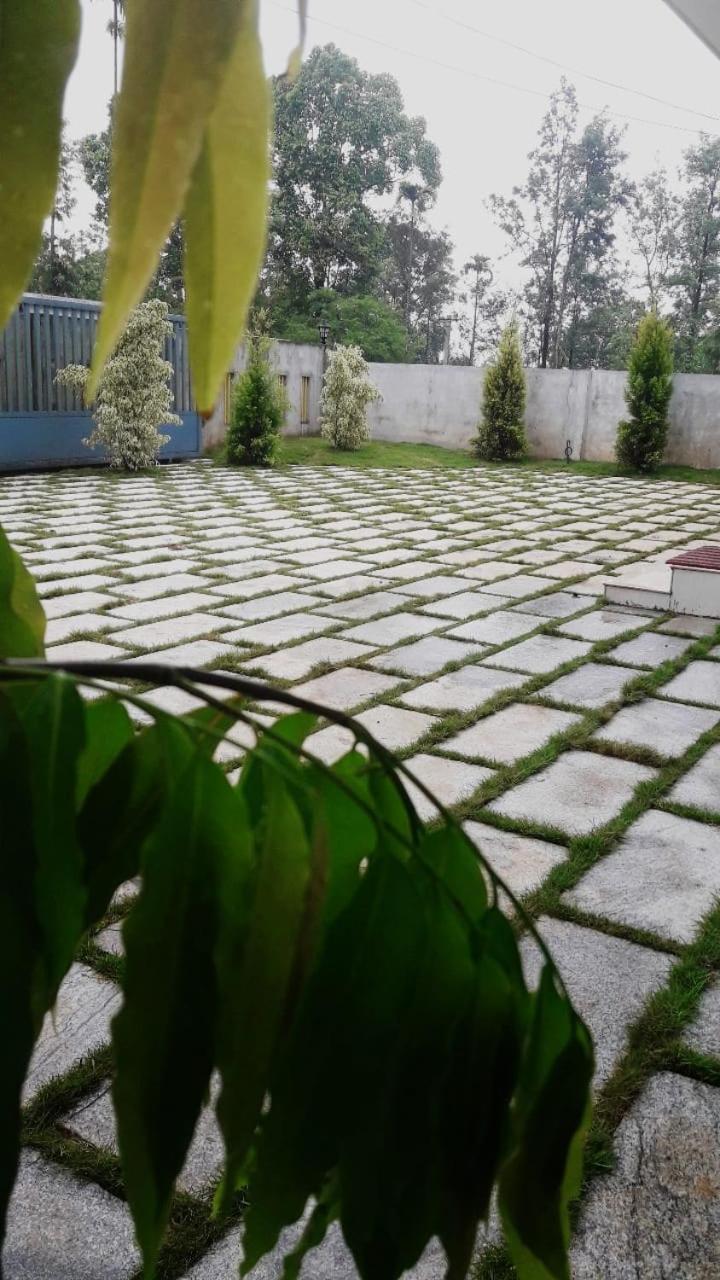 Photo 38