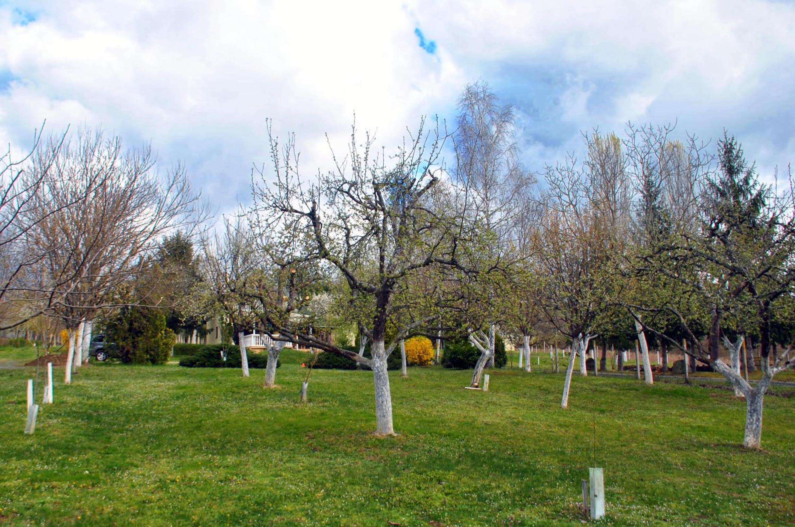 Photo 41