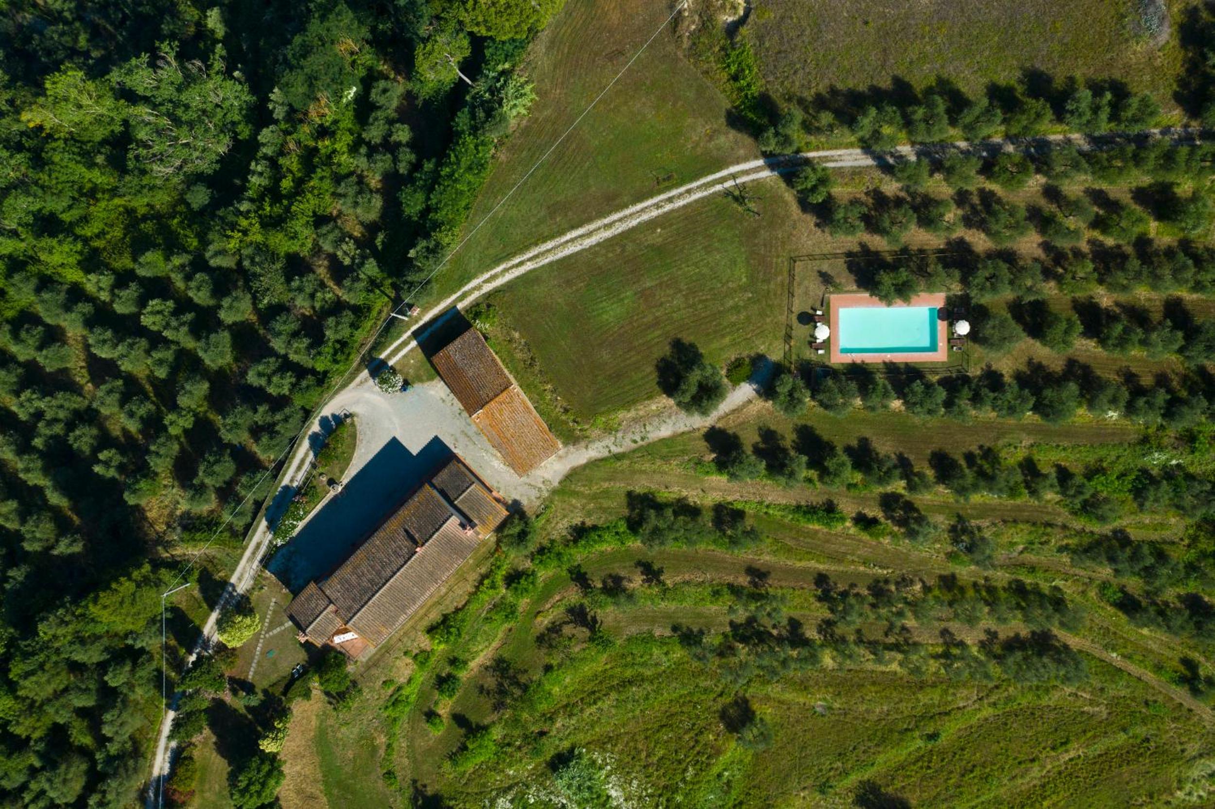 Podere l'Ulivo view 2