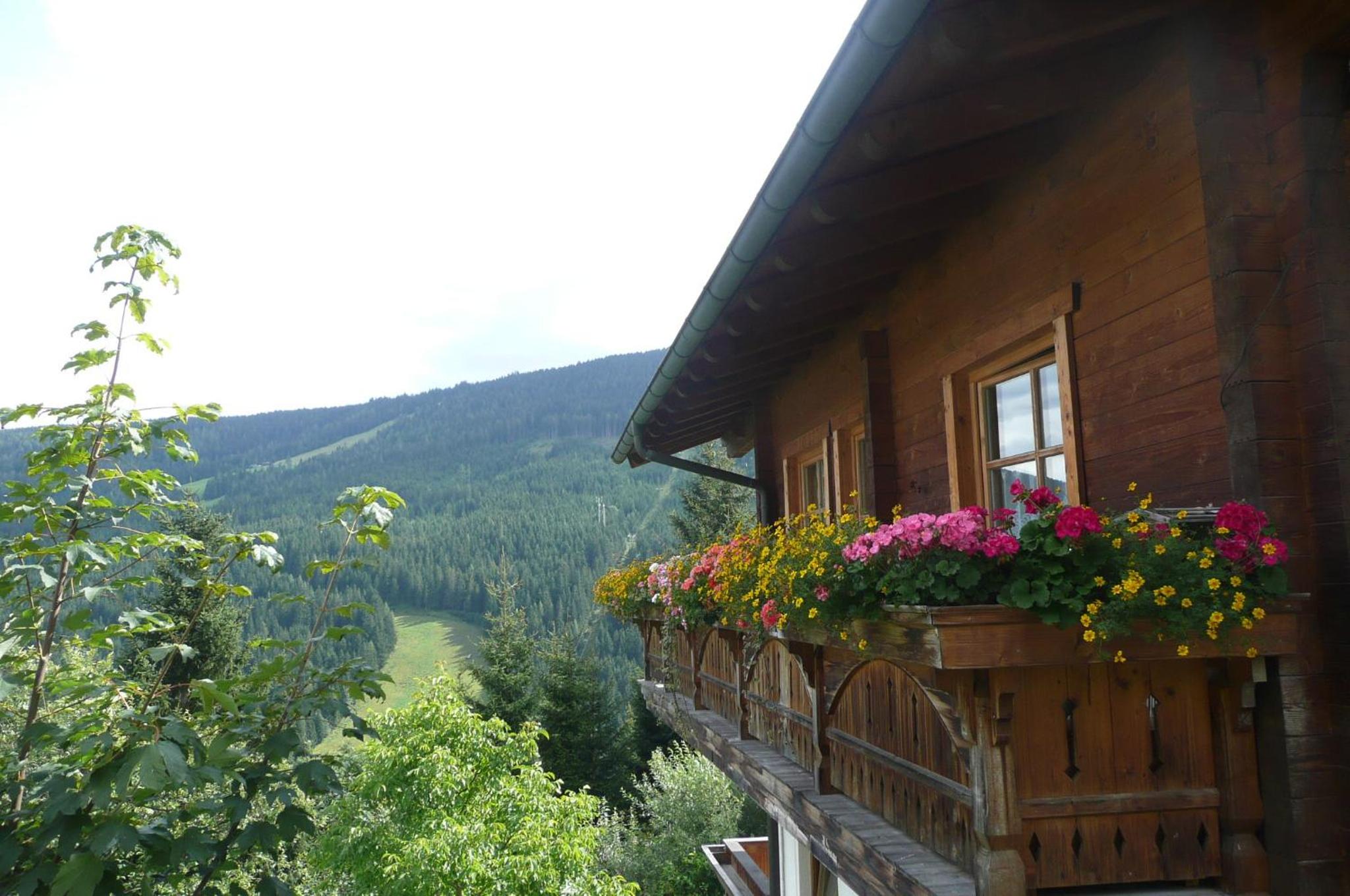 Chalet Kleinbergsonne view 4
