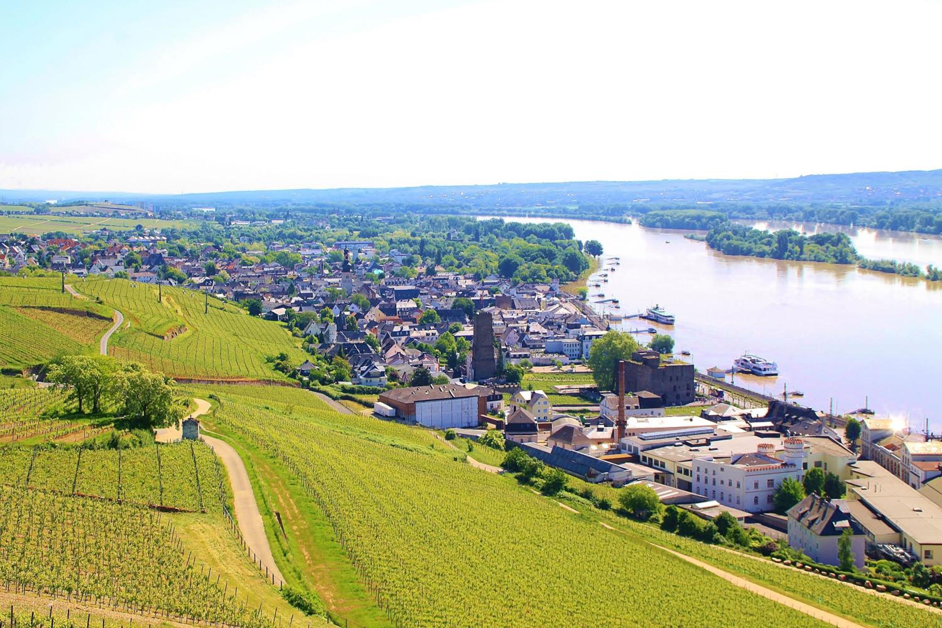 Pension Post Rüdesheim view 5