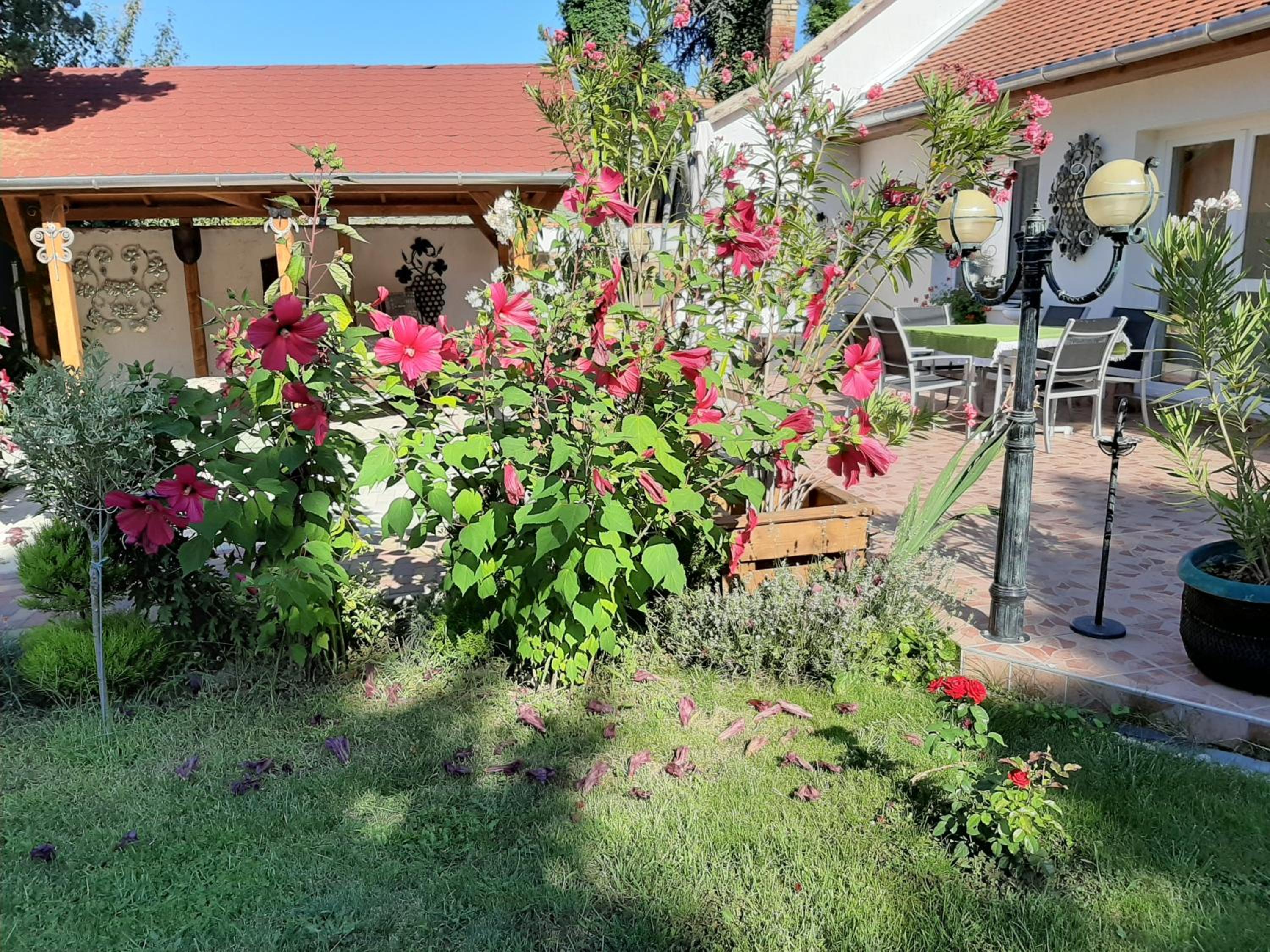 Photo 31