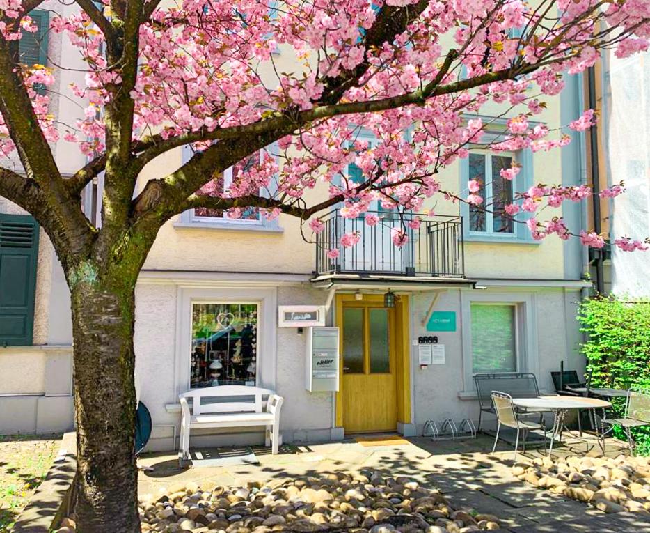 CityLodge St Gallen - 2 min to Marktplatz