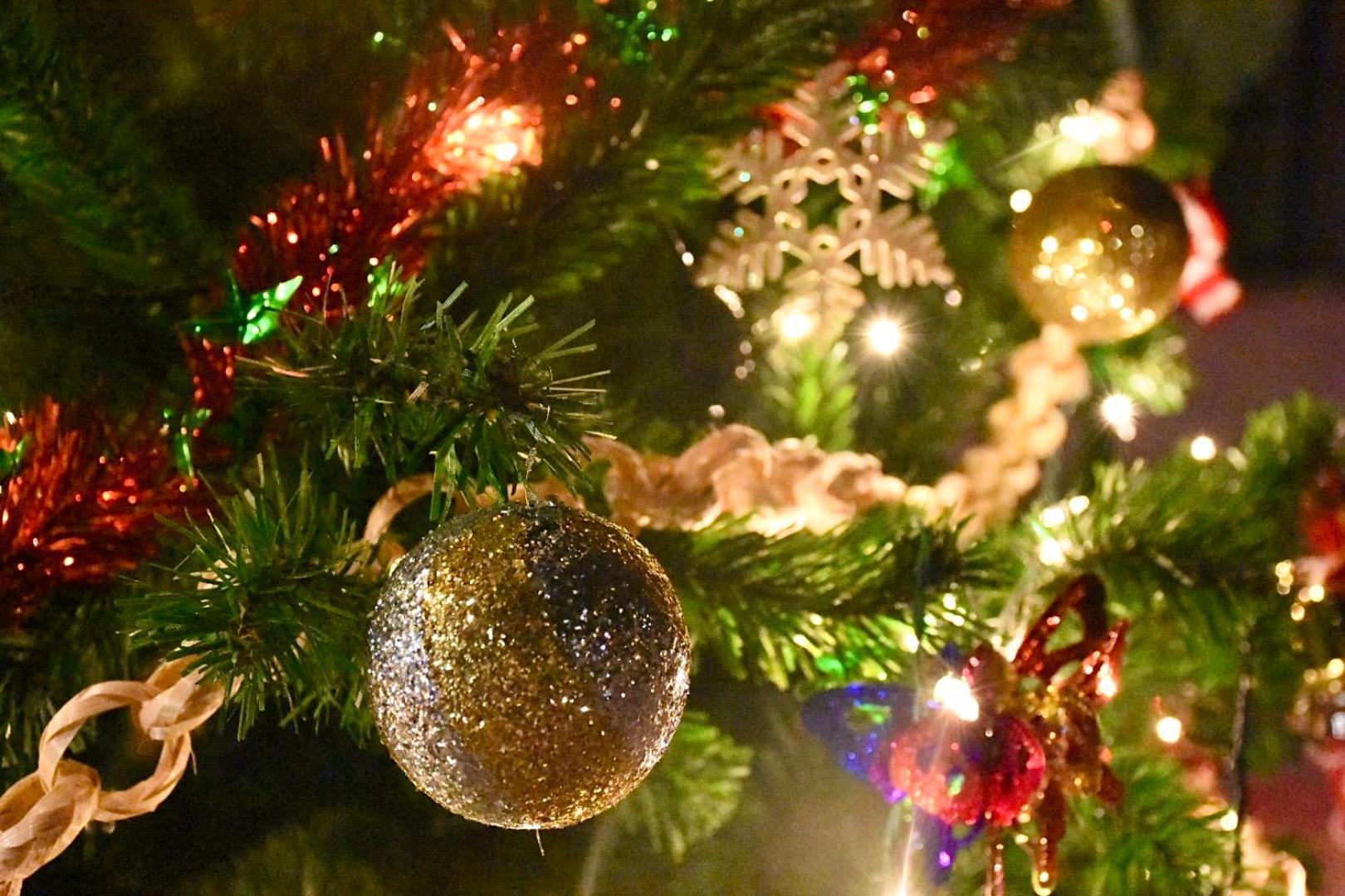 Photo 6