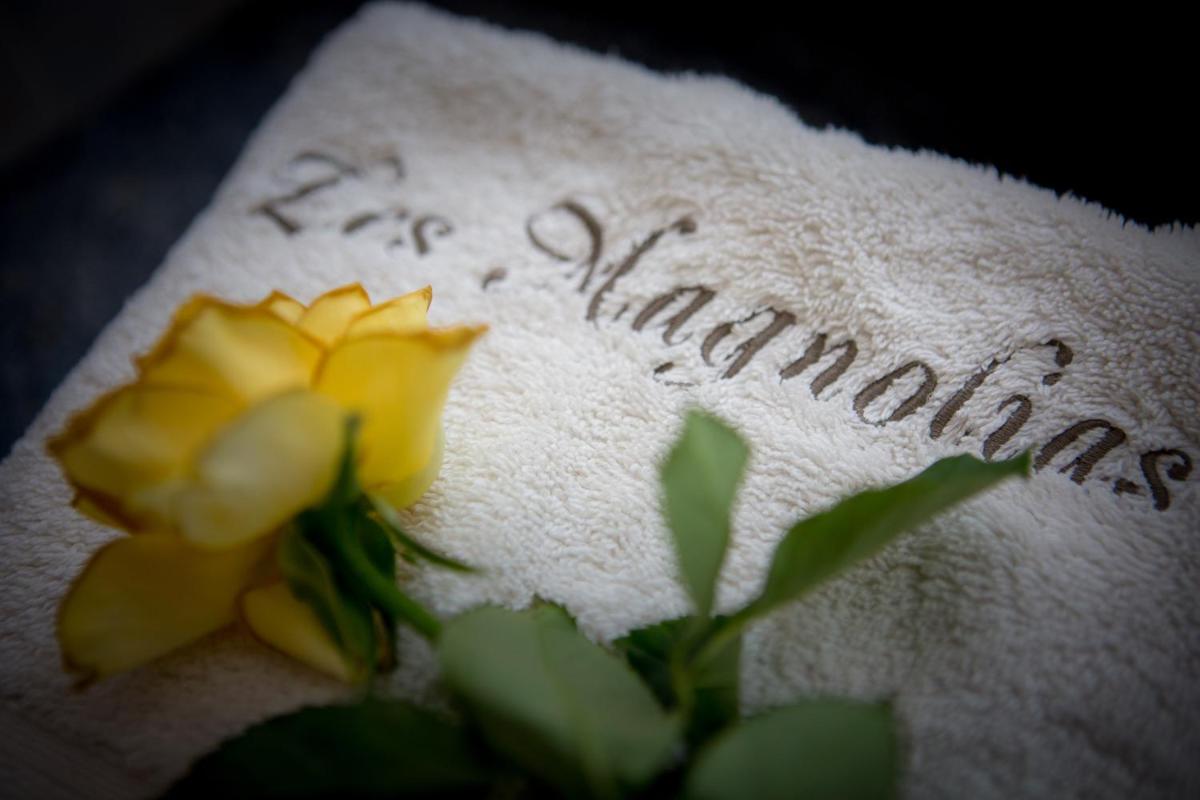 Les Magnolias holiday homes