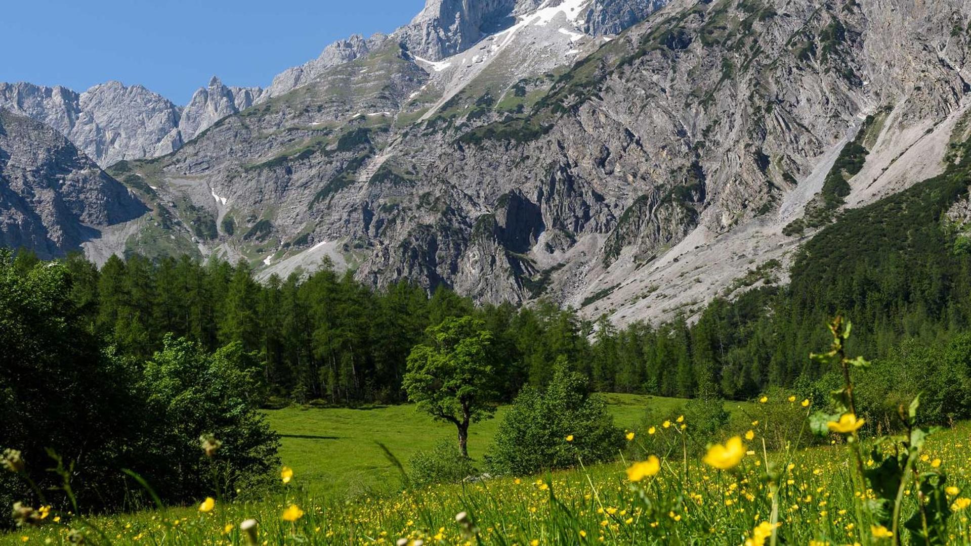 Appartement Frühstückspension Landhaus Karwendel