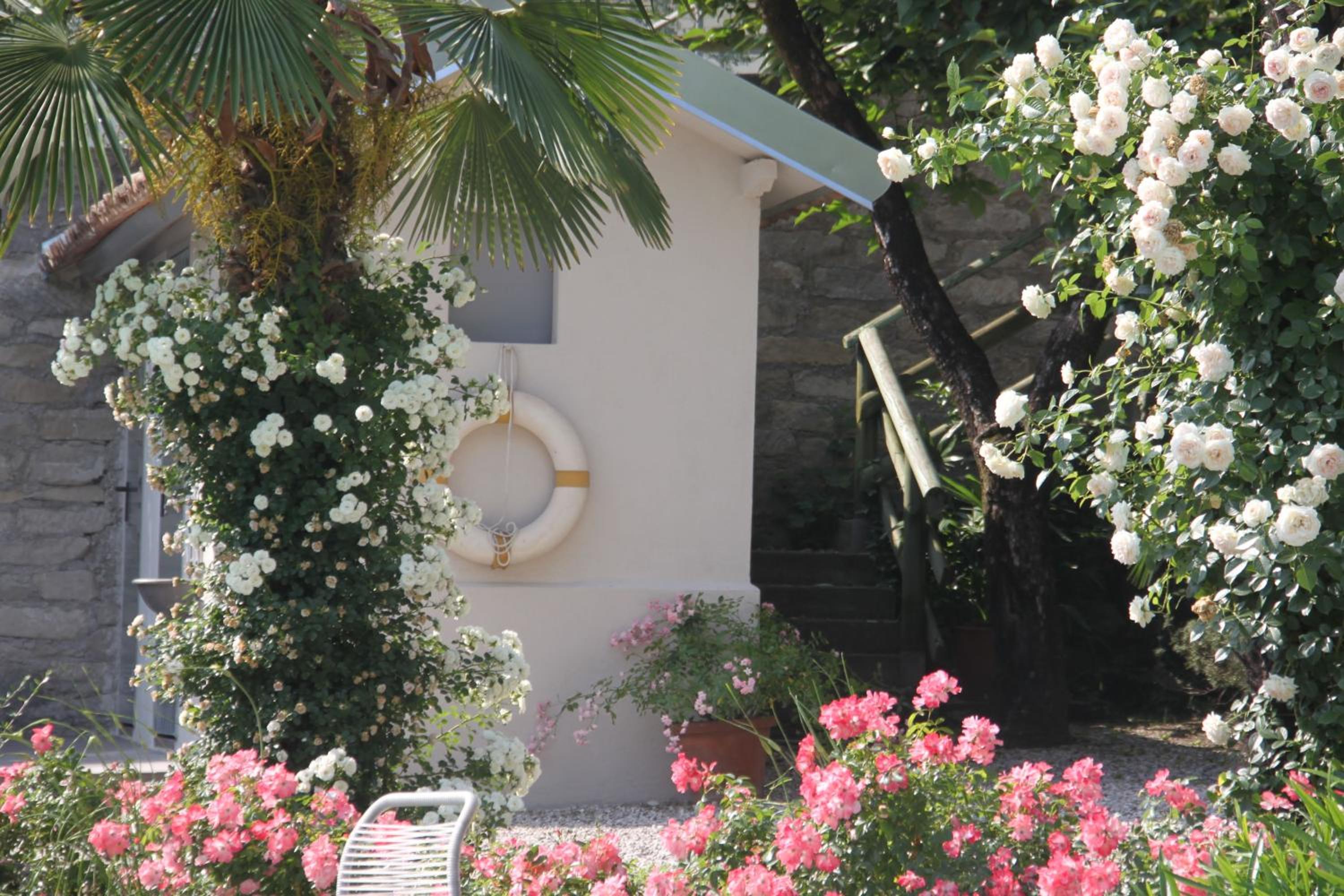 Photo 44