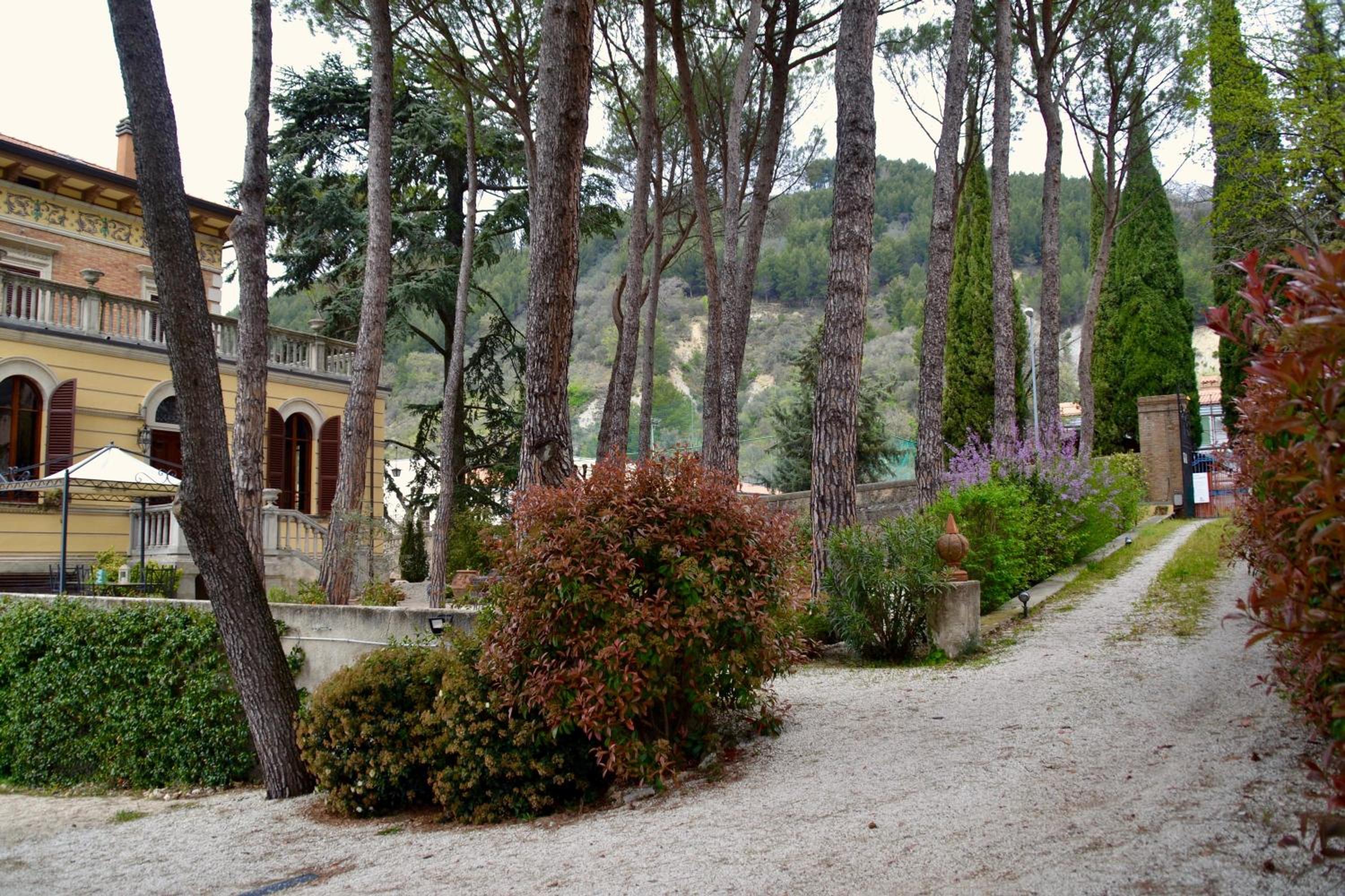 Photo 21