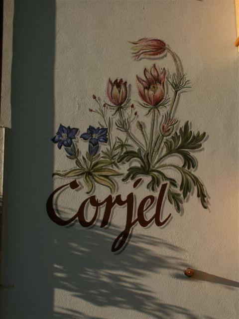 Photo 24