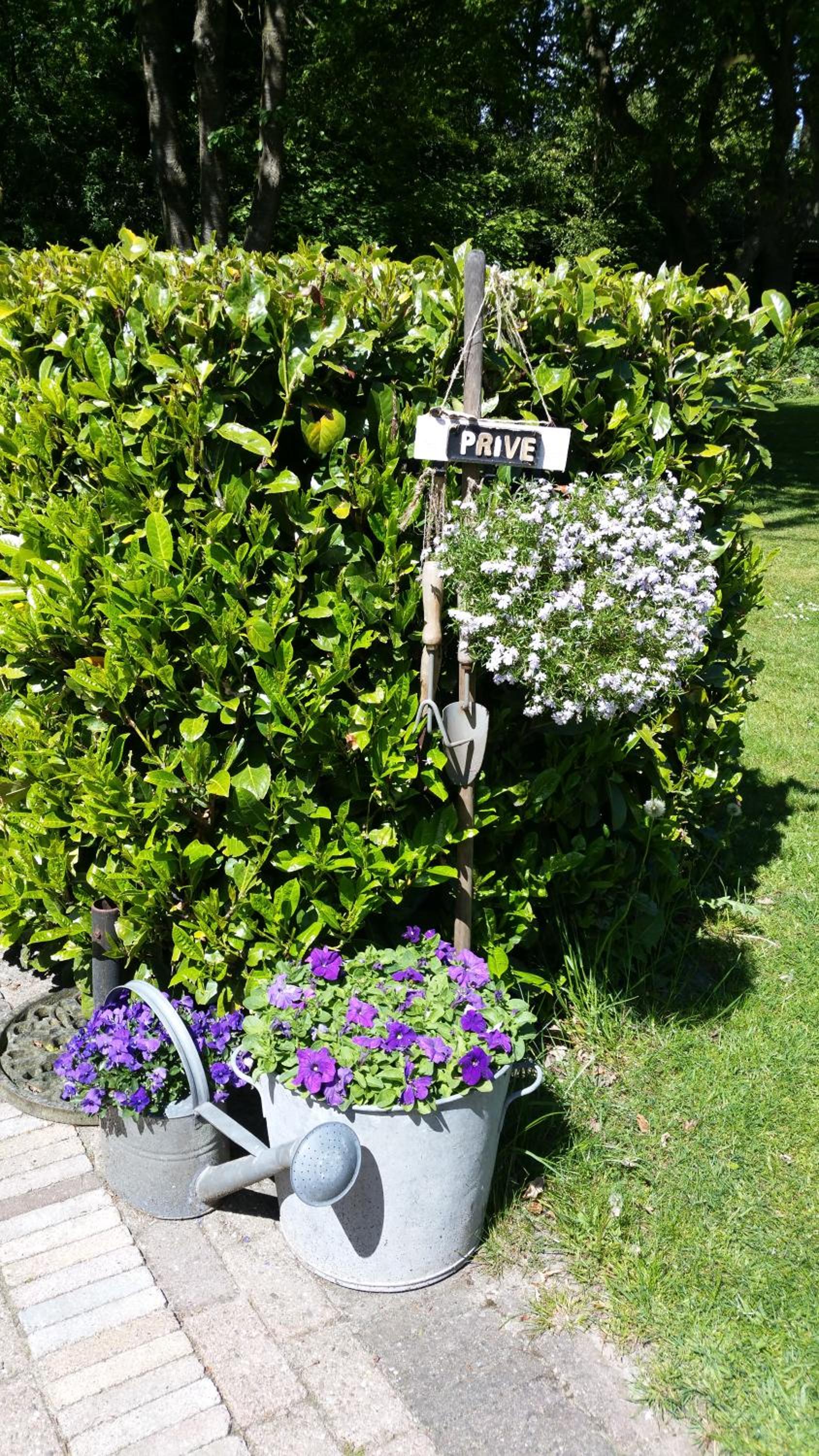 Photo 46