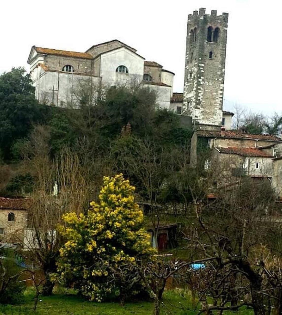 Photo 15