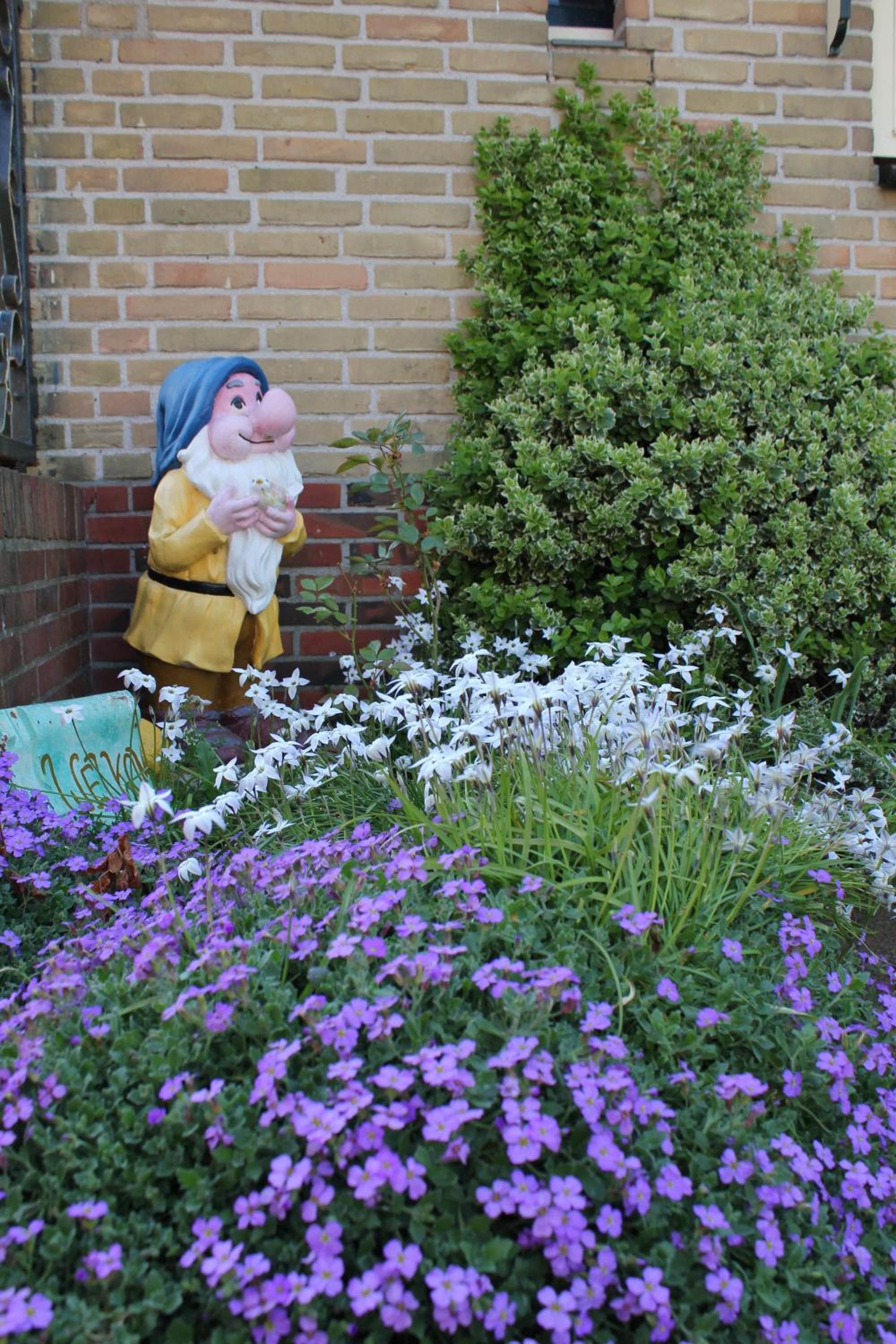 Photo 34