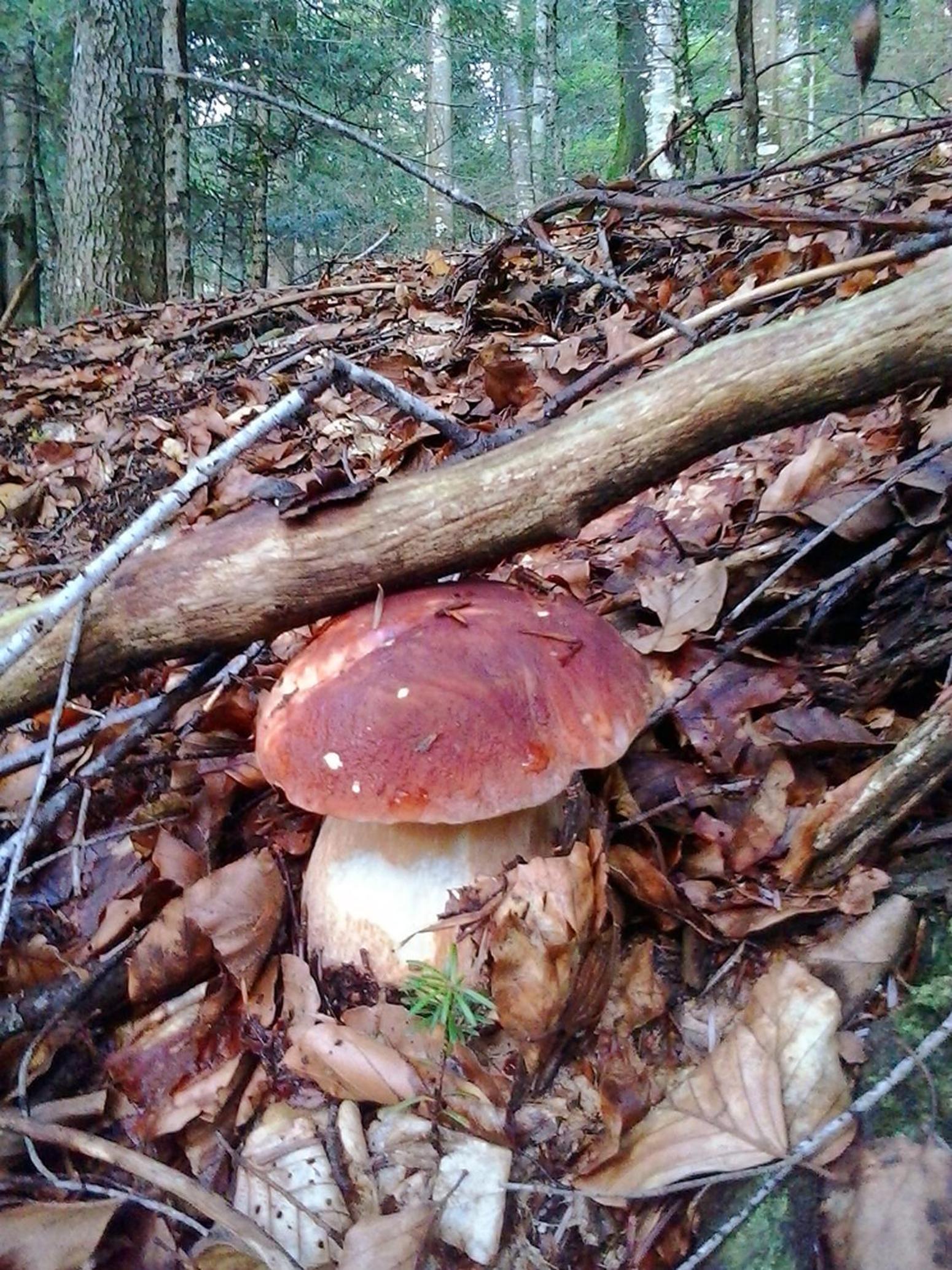 Photo 16