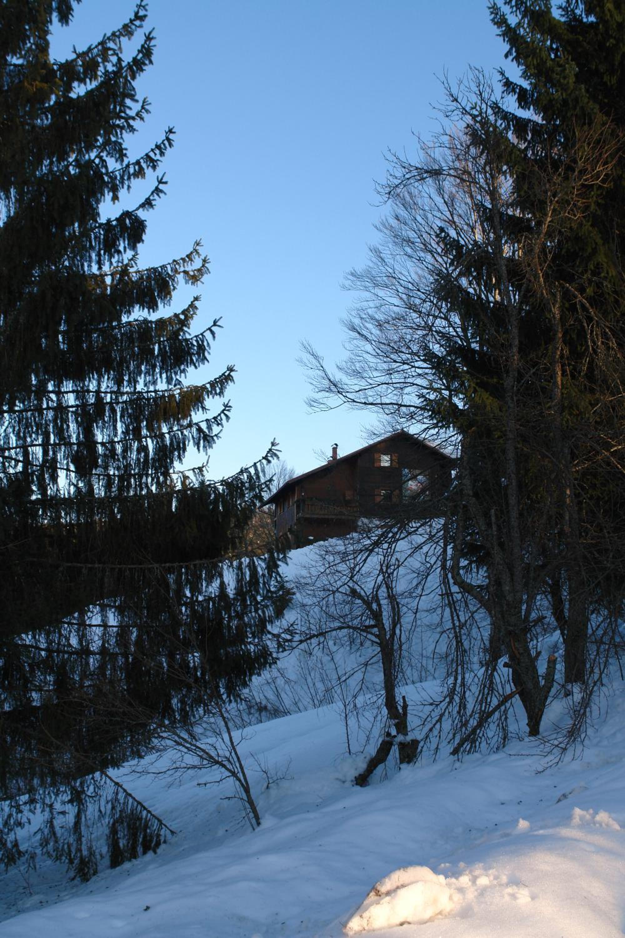 Photo 28