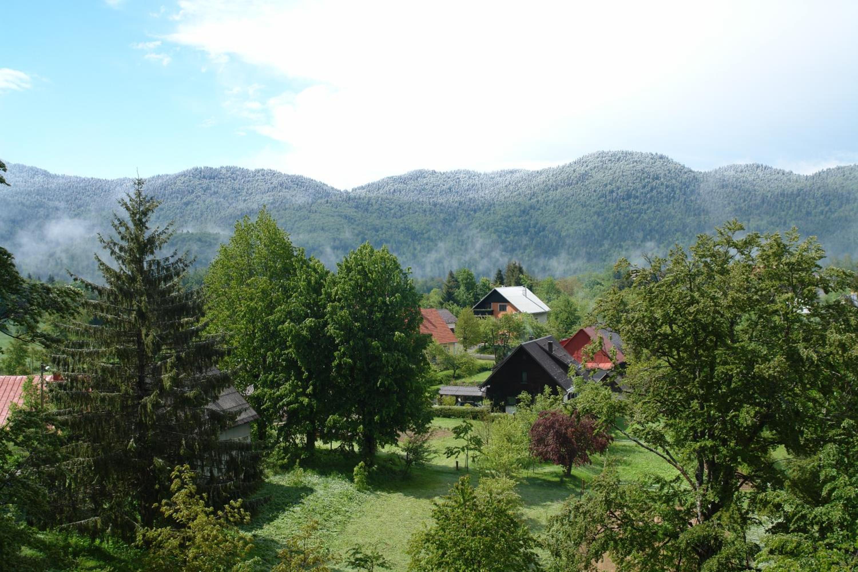 Photo 10