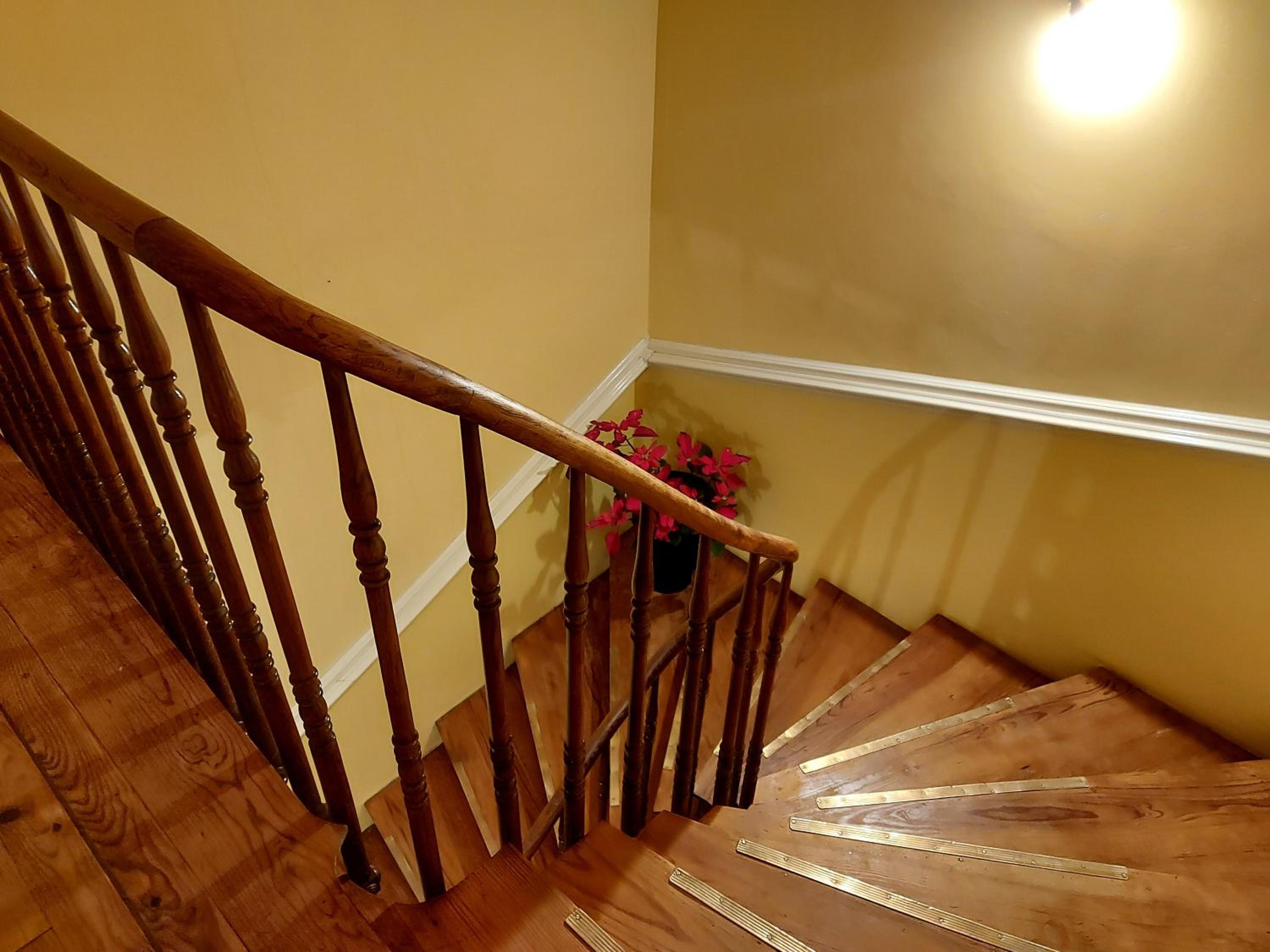 Photo 25