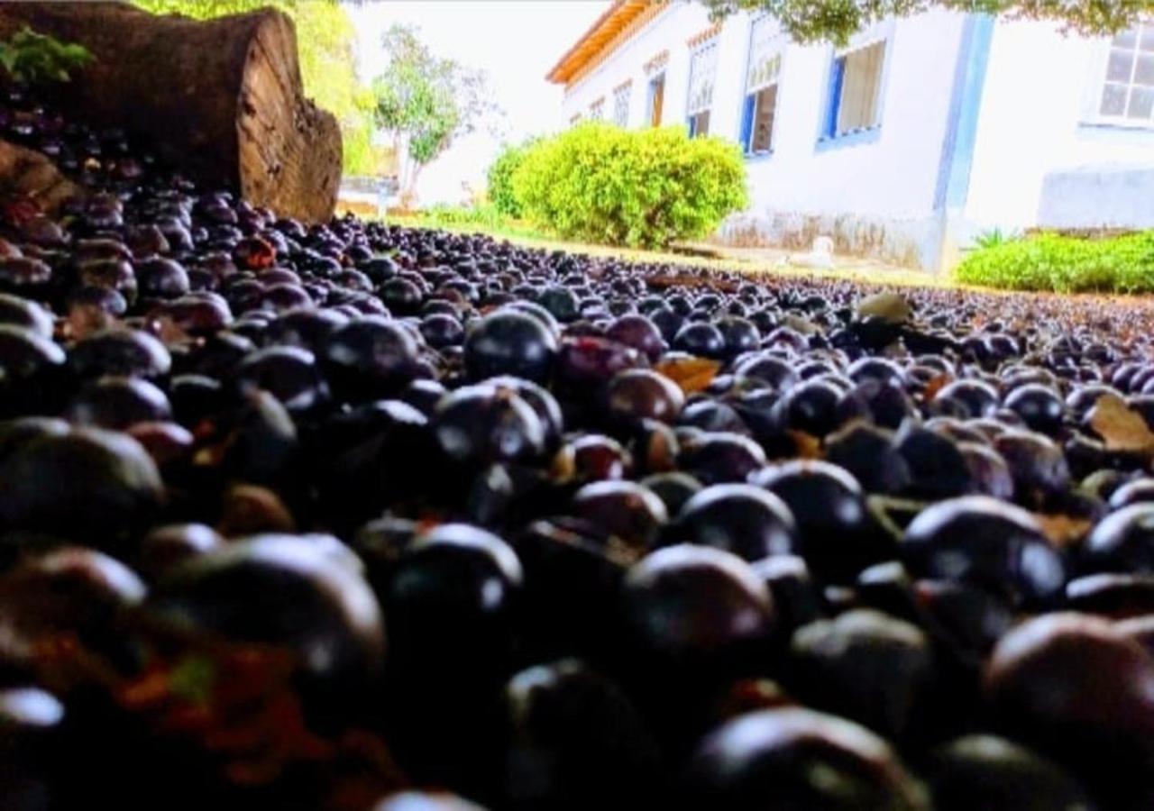 Pousada Fazenda das Bicas
