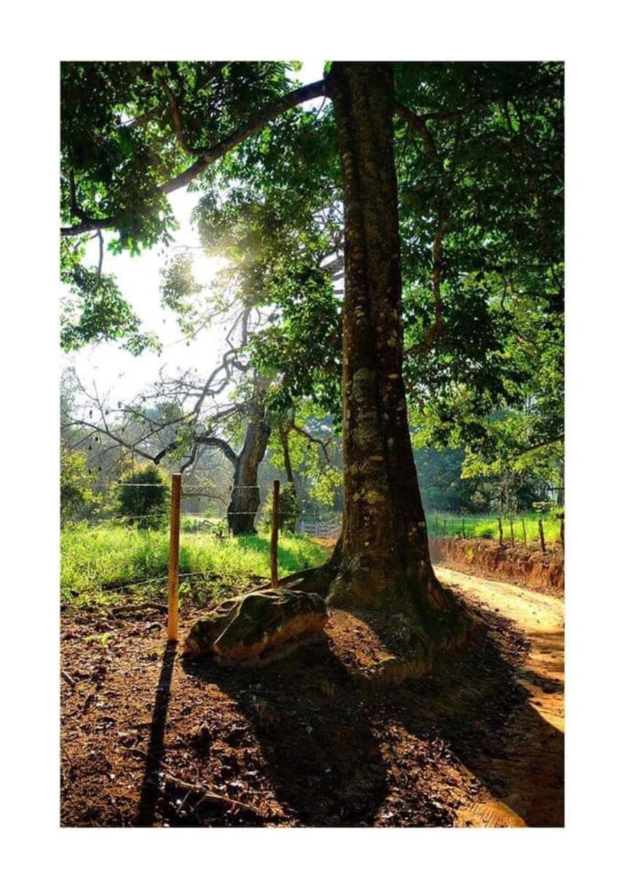 Pousada Fazenda das Bicas