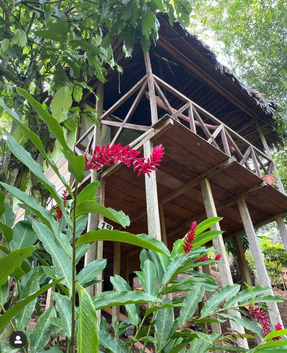 Katari Center