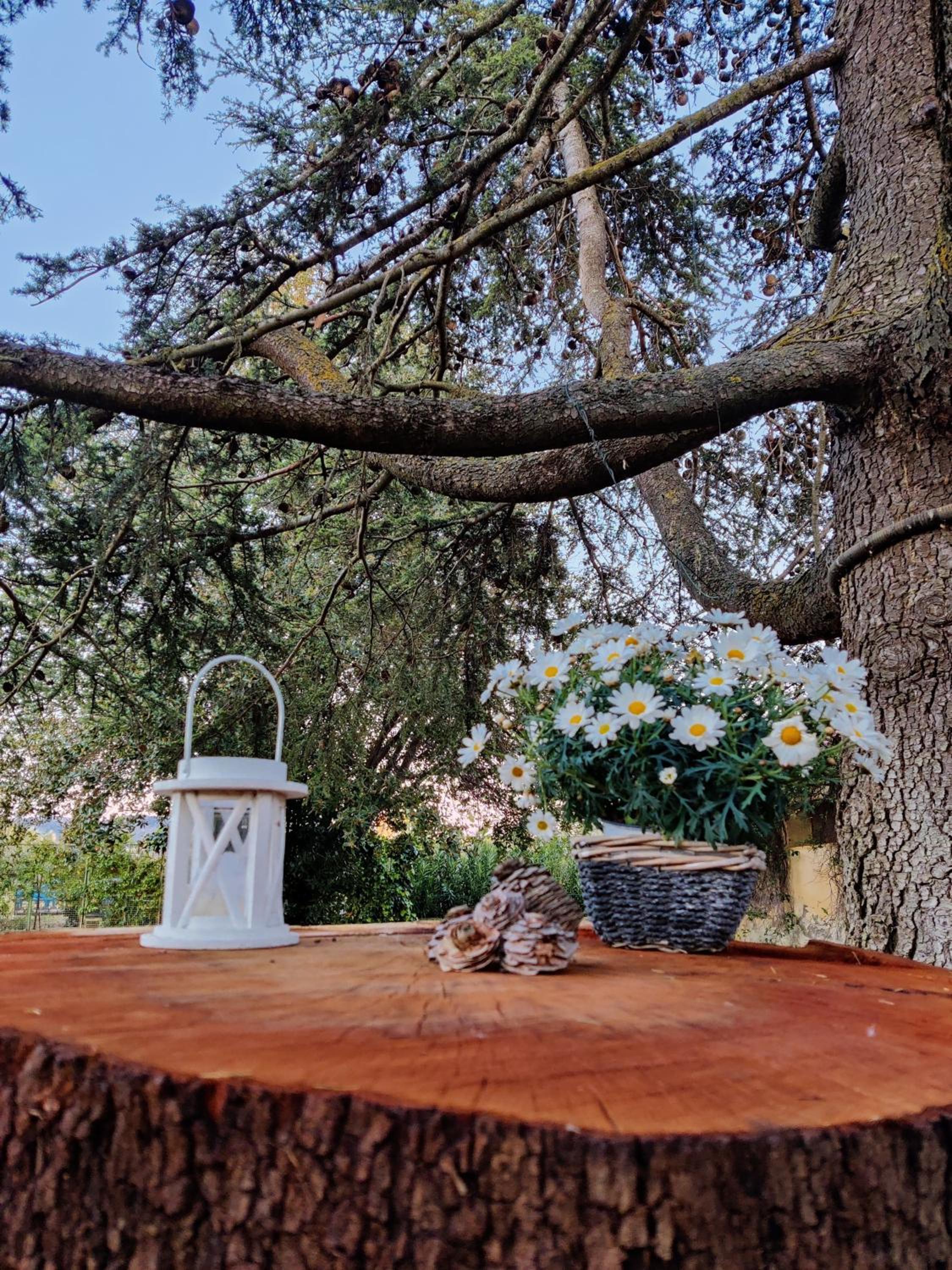 Relais Felciaino B&B view 5