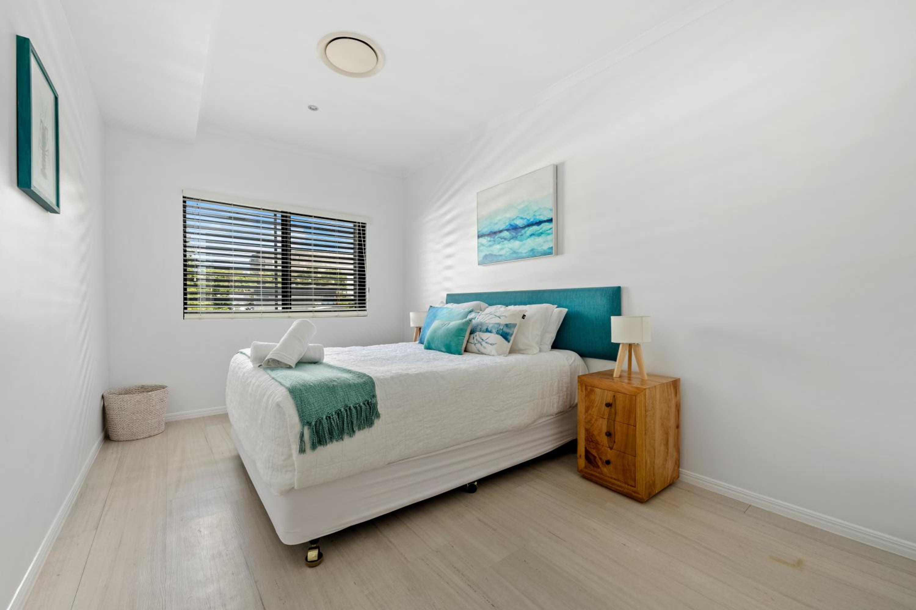 Papillon Coolum