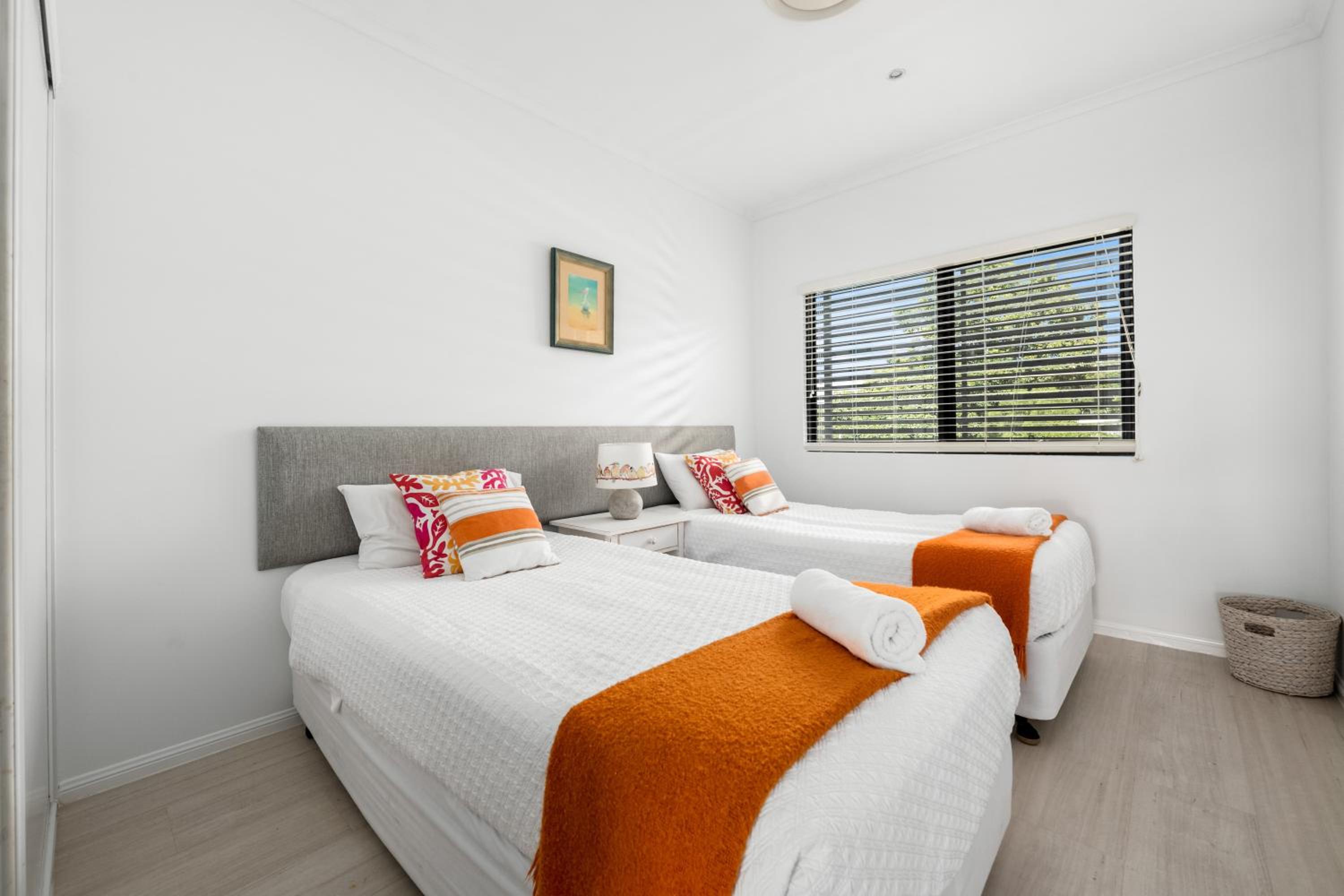Papillon Coolum