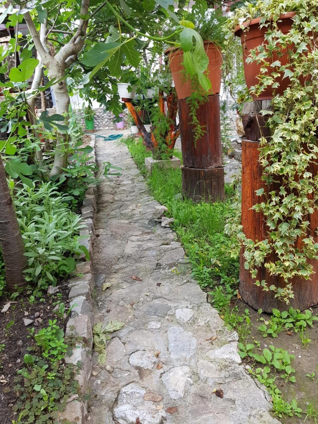 Photo 11