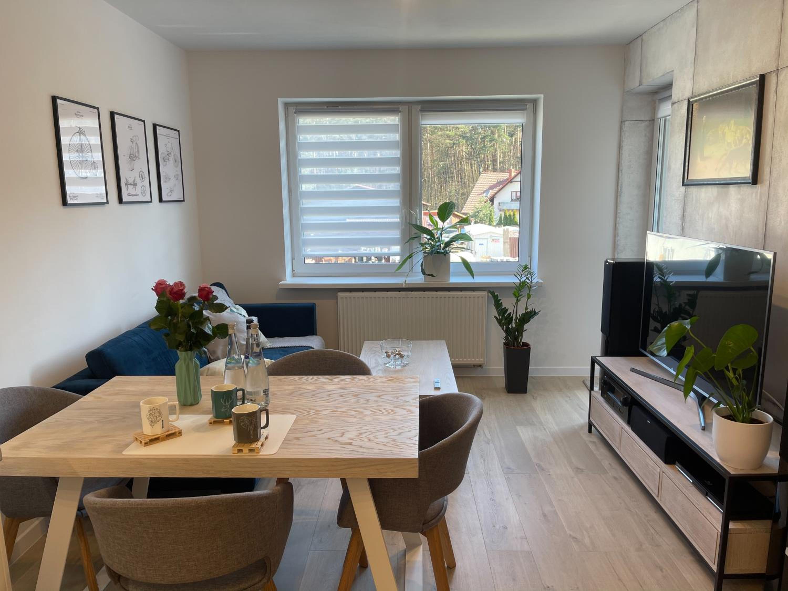 Apartament Biłgoraj, Roztocze, Raj dla rowerzystów view 3