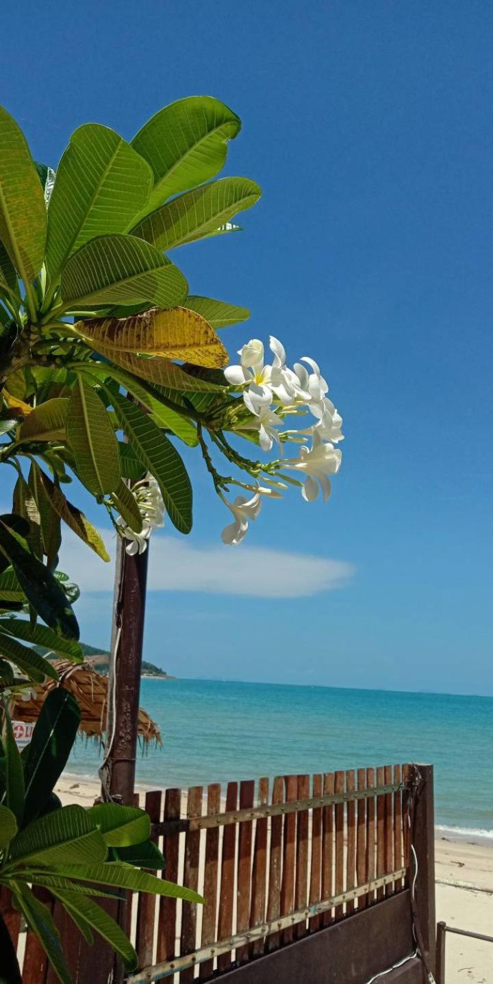 Lipa Bay Resort