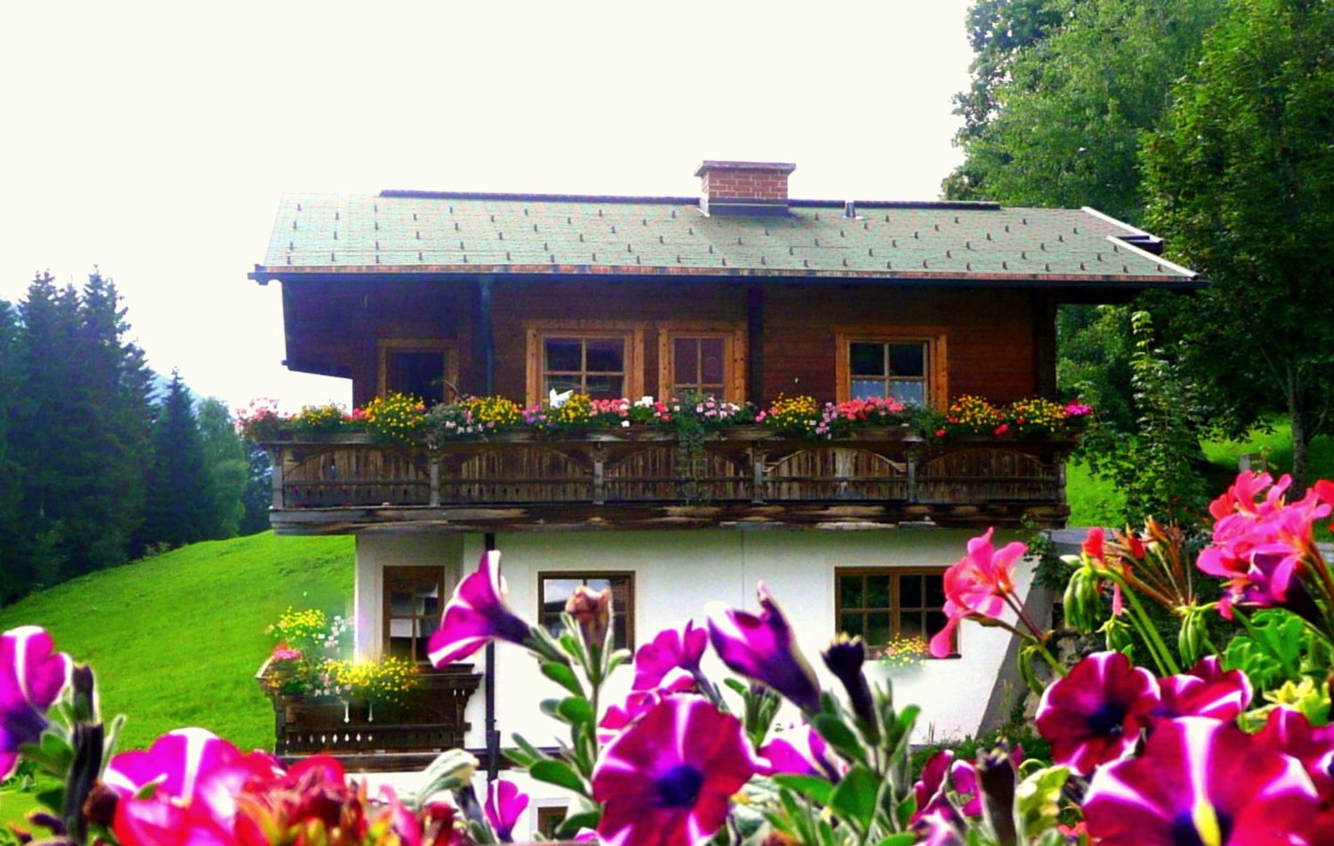 Chalet Kleinbergsonne view 2