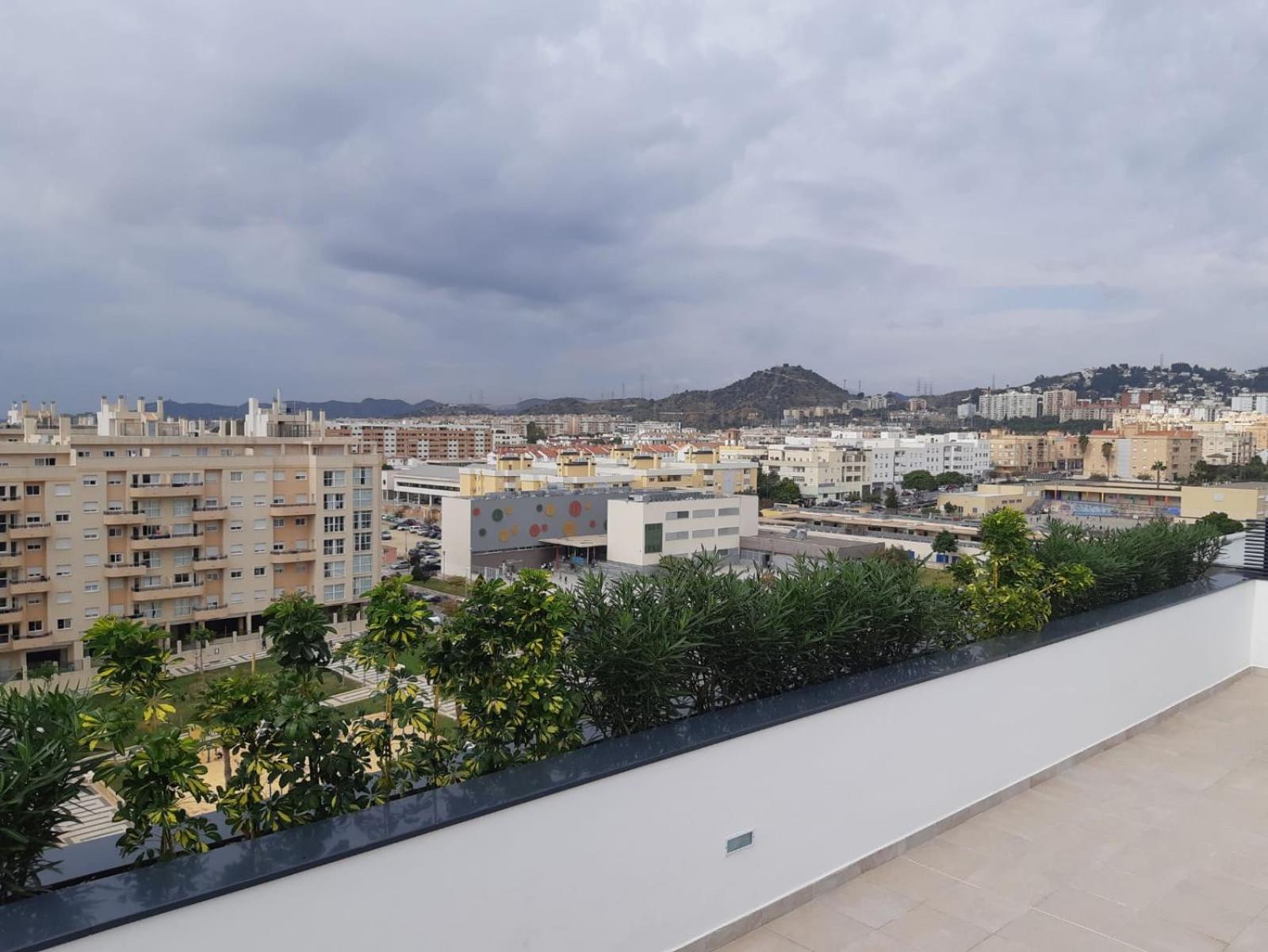 Teatinos Suite