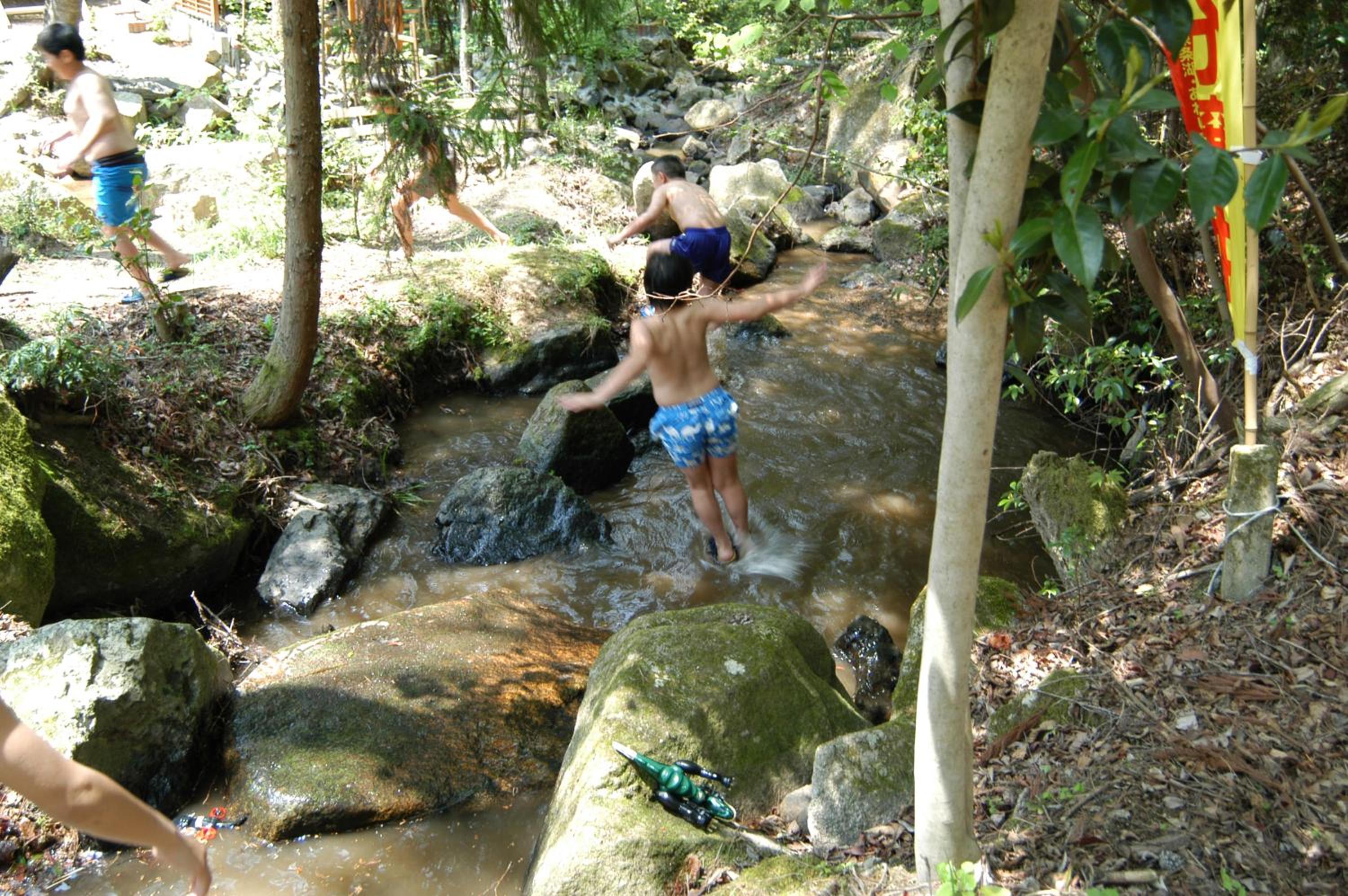 Photo 42