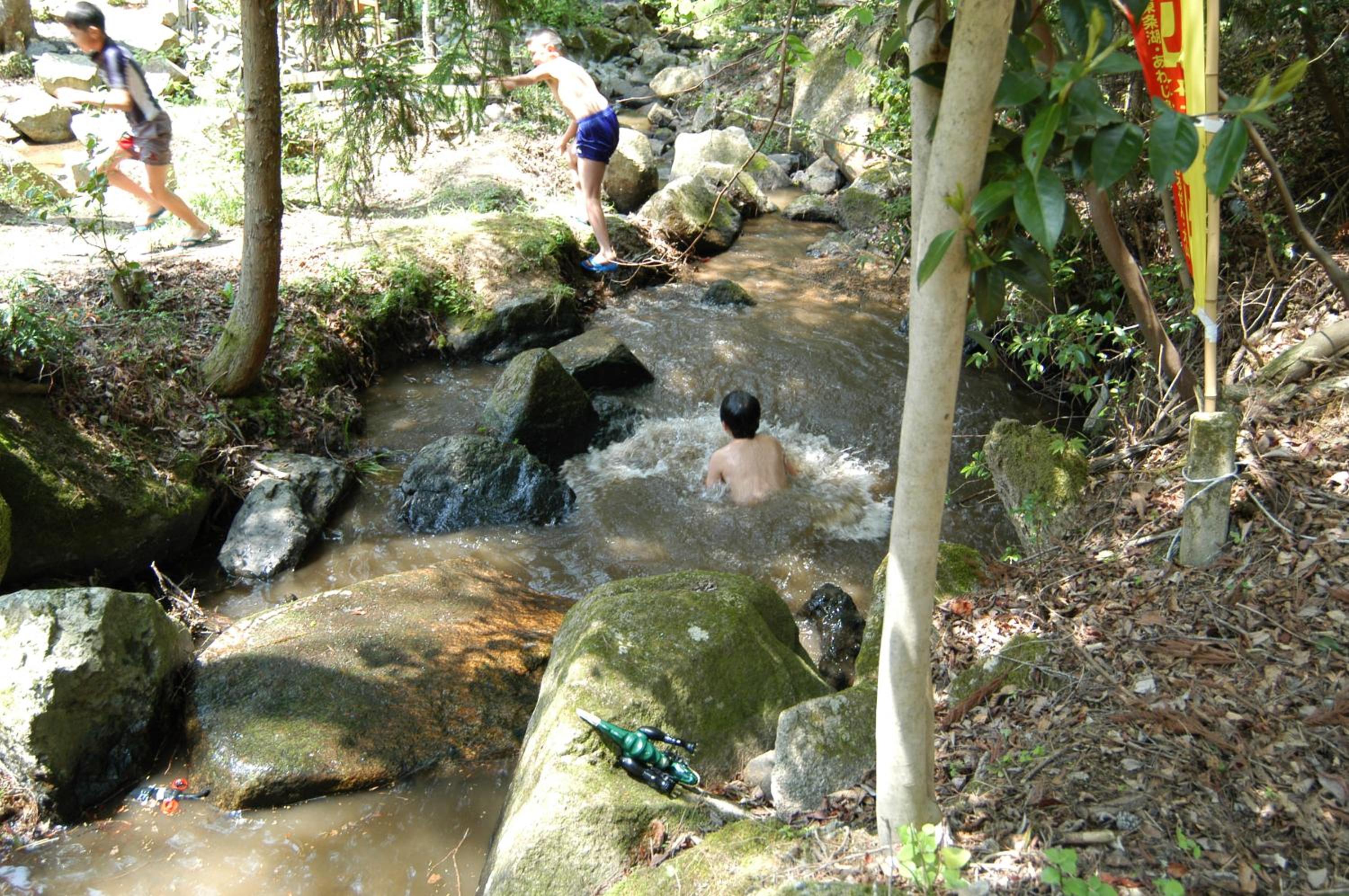 Photo 43