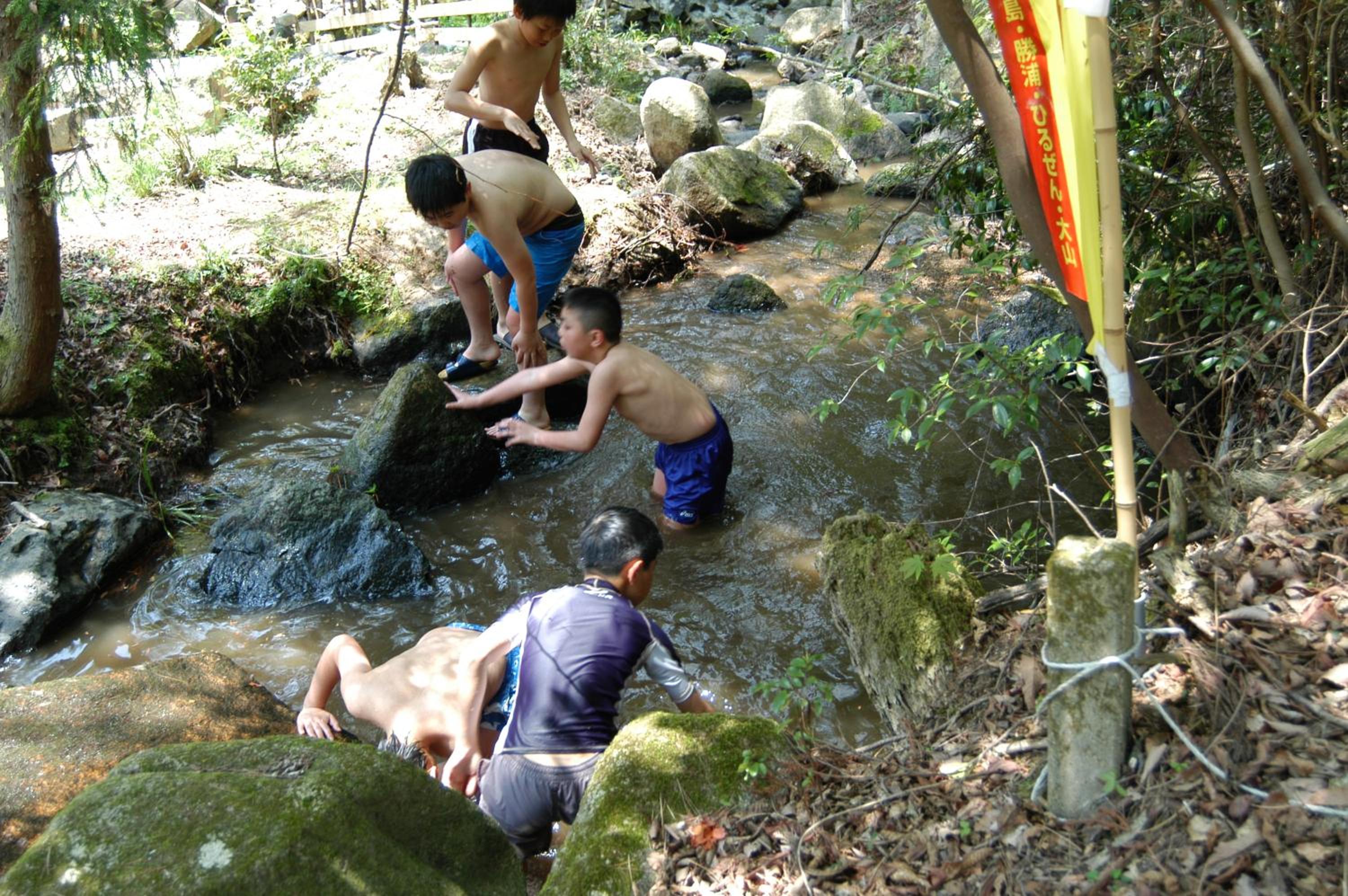 Photo 41