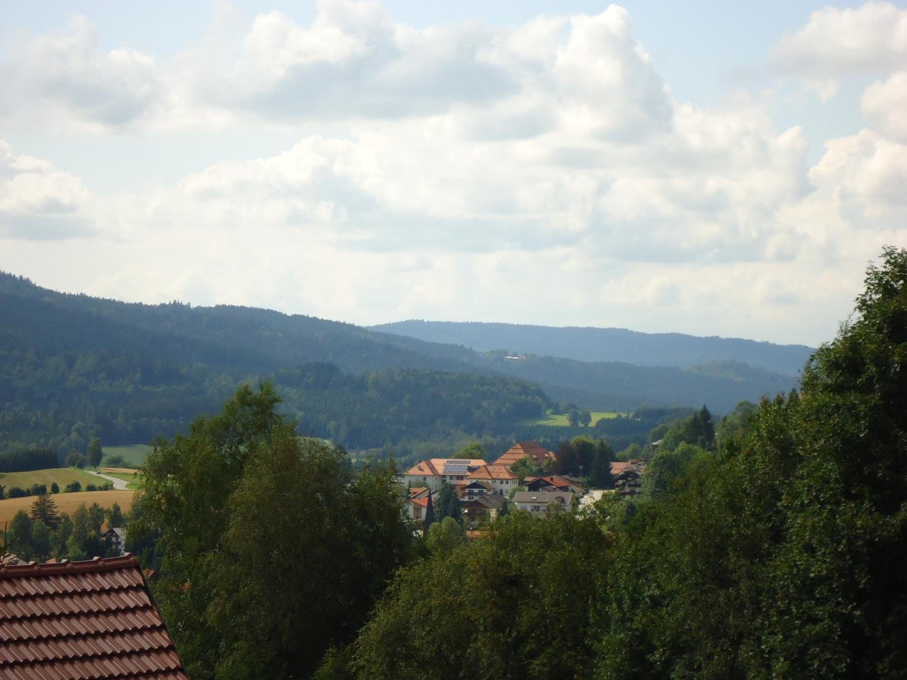 Photo 23