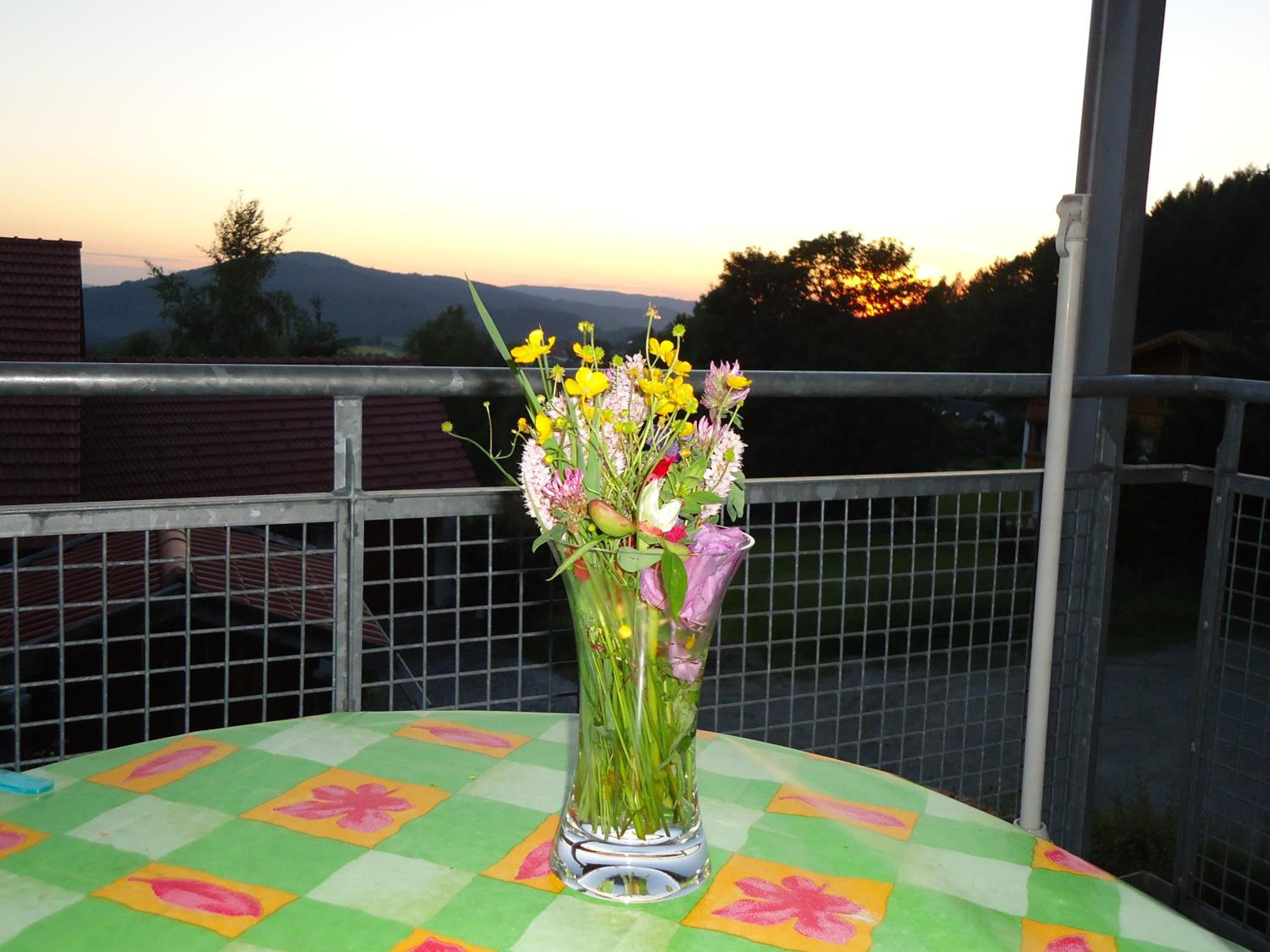 Ferienwohnung Bodenmais am Silberberg view 5