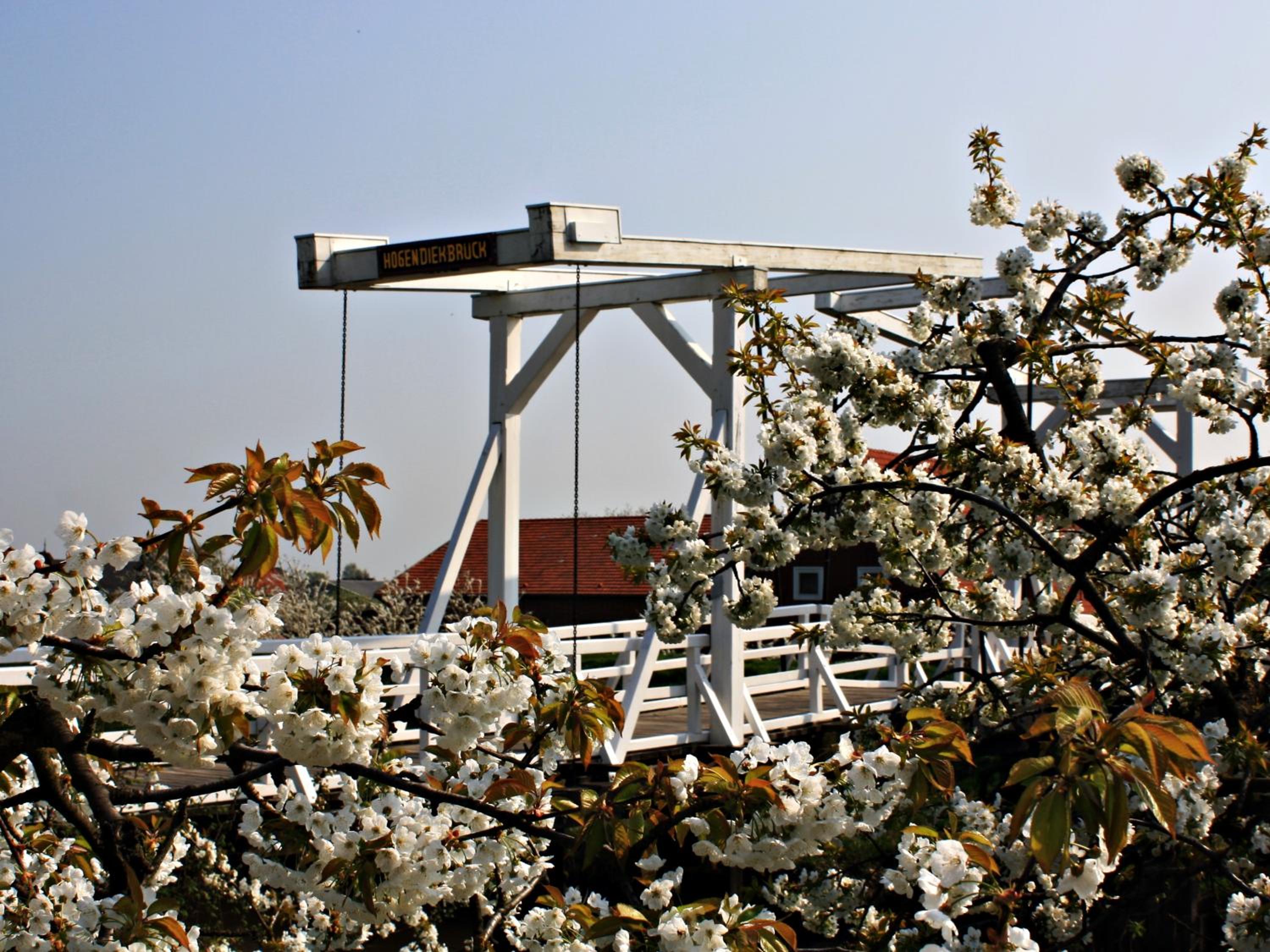Fewo Lüheblick im Haus Lühegarten