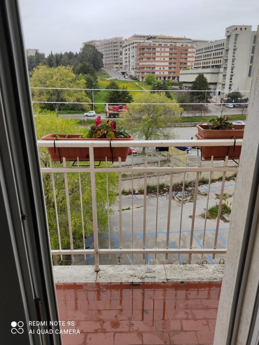 civico 47 photo 5