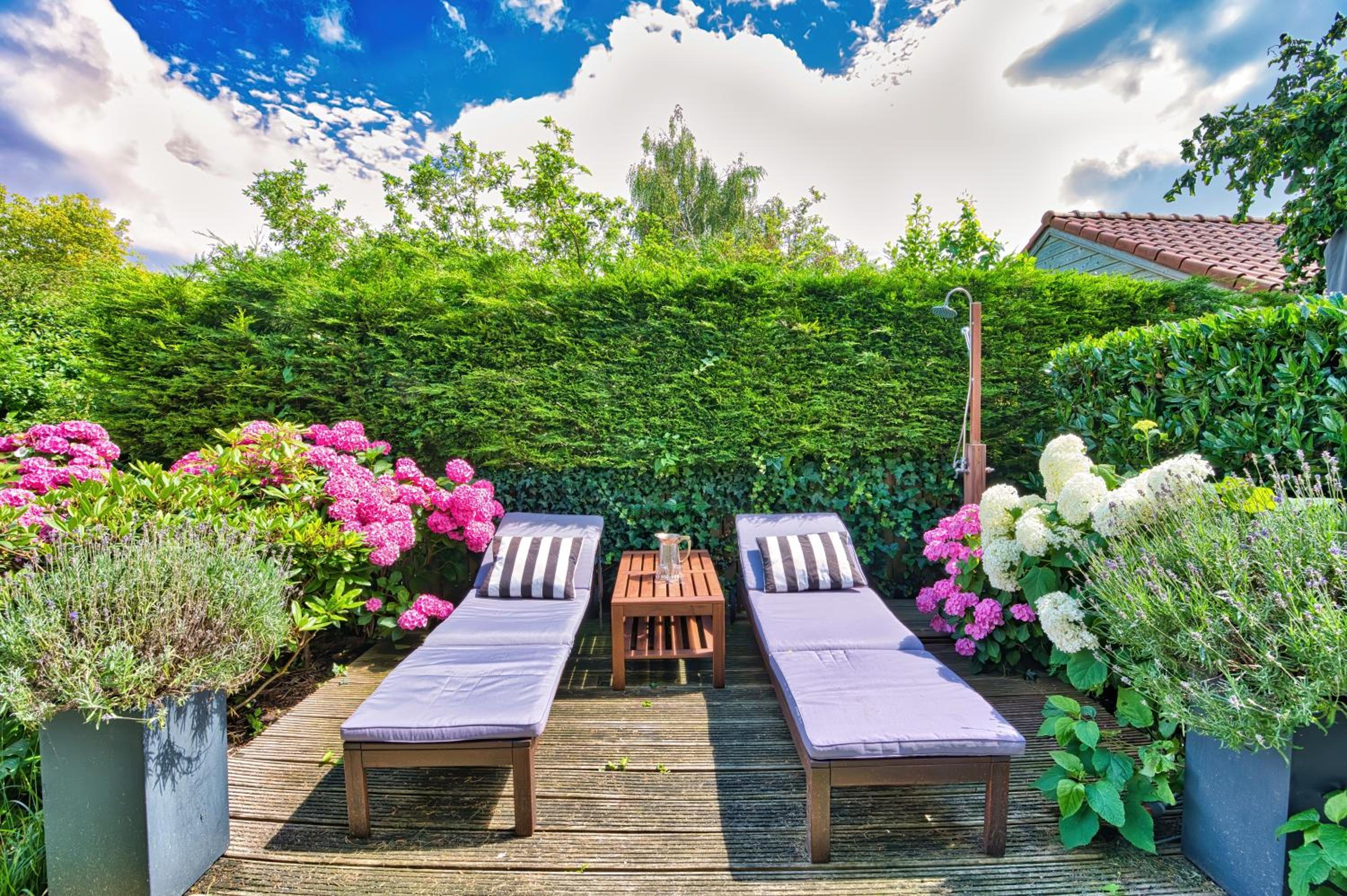 B&B Hoofddorp view 4