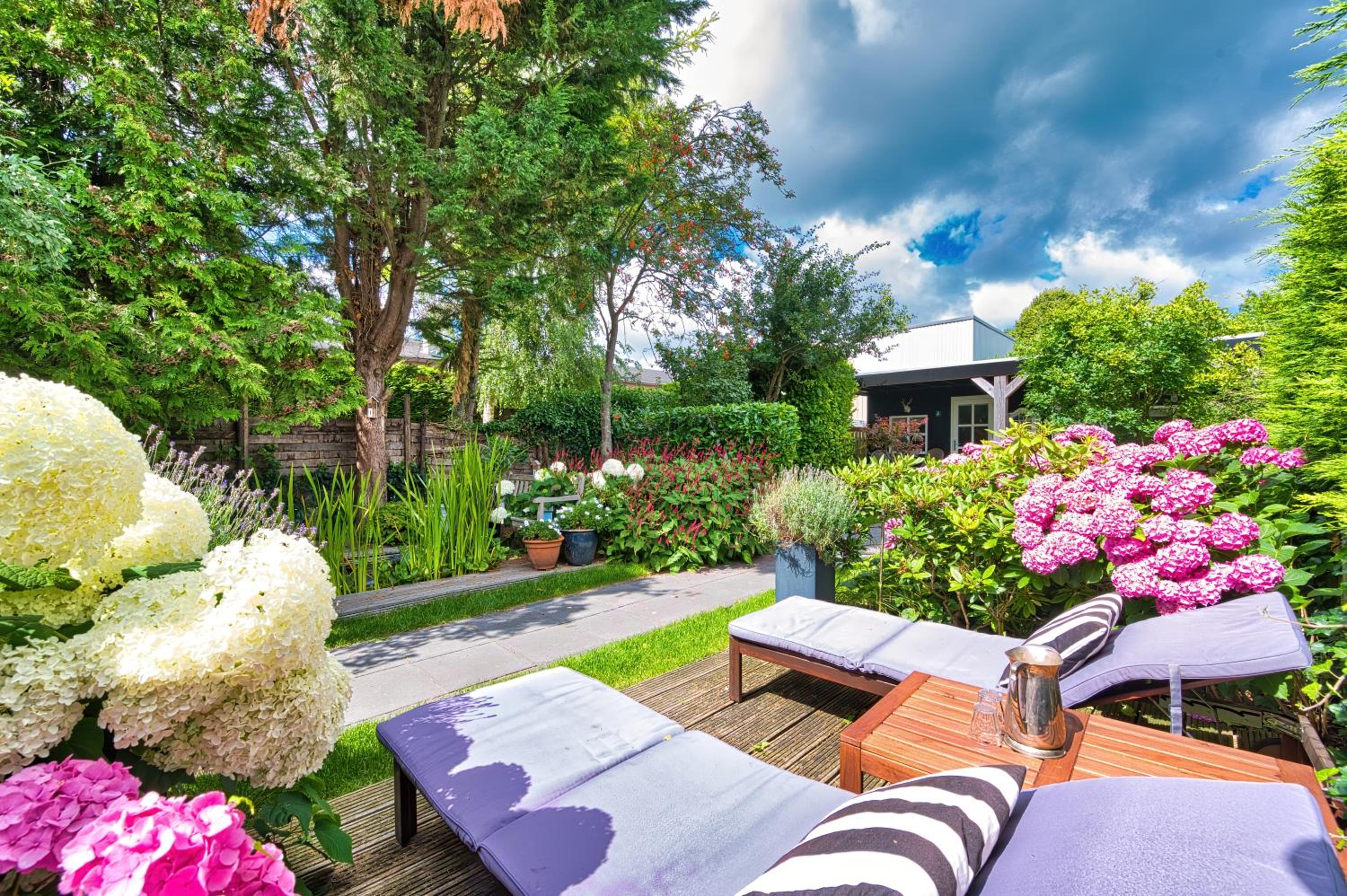 B&B Hoofddorp view 3