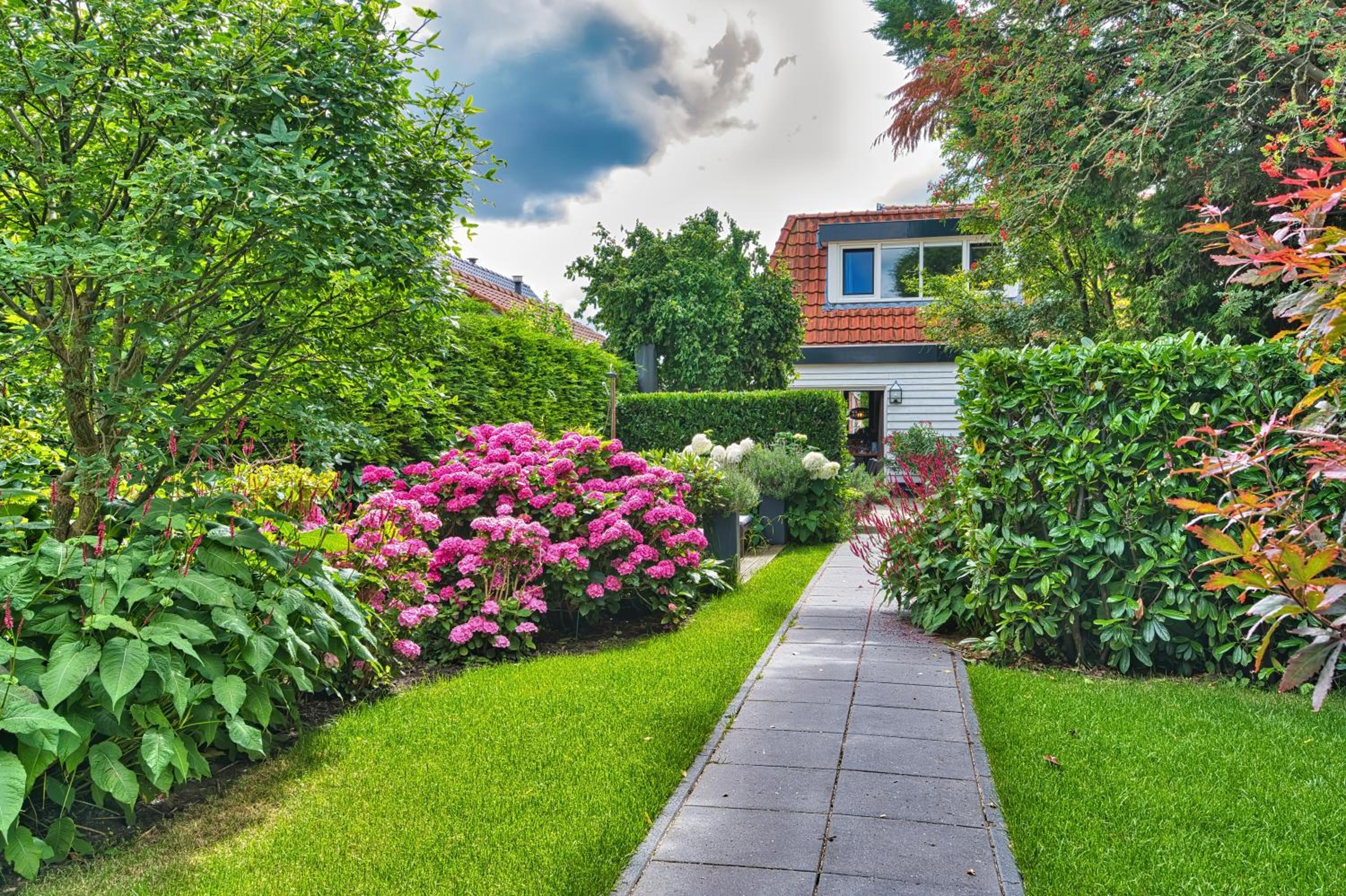 B&B Hoofddorp view 2
