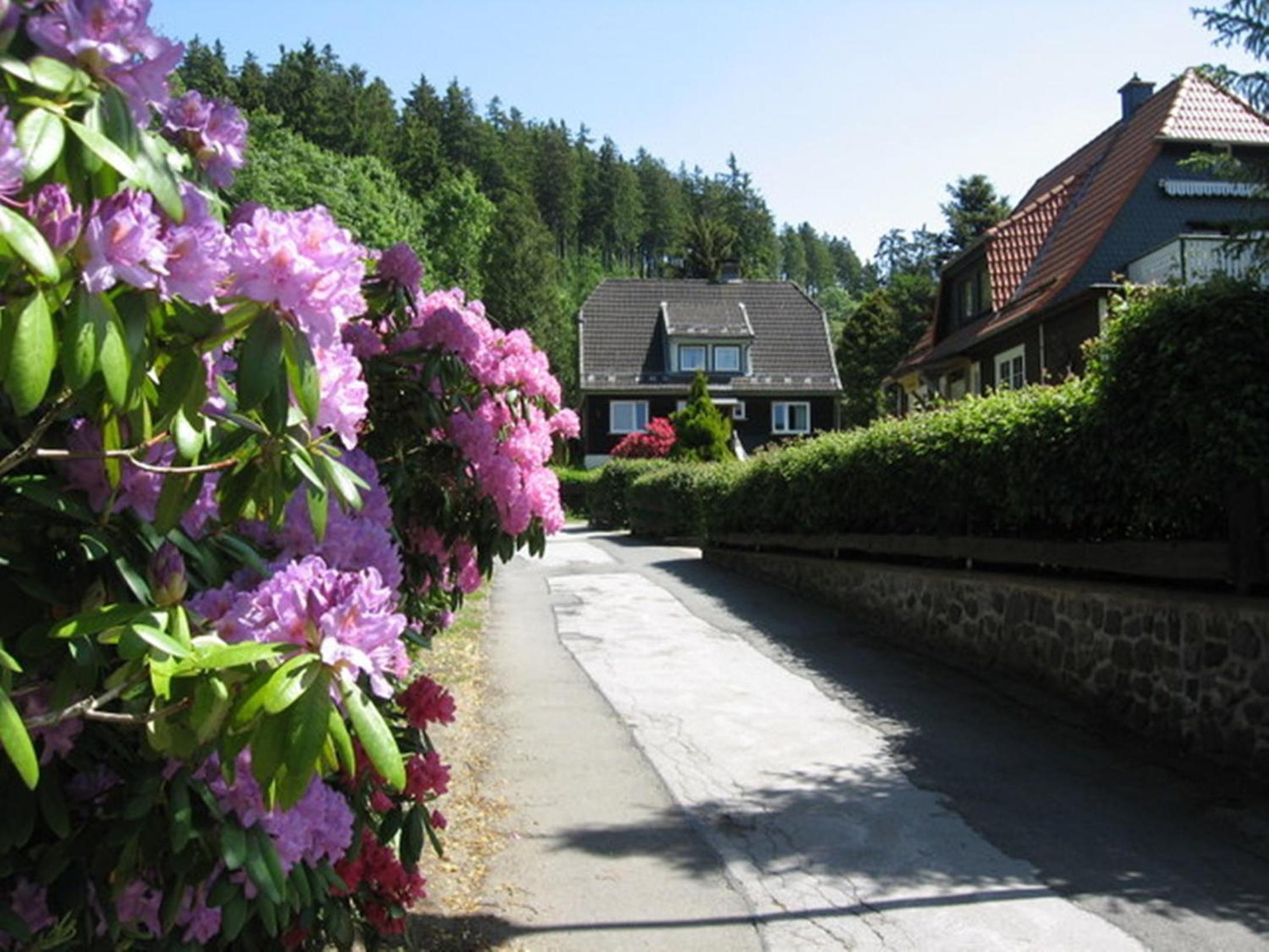Vakantiehuis ibu