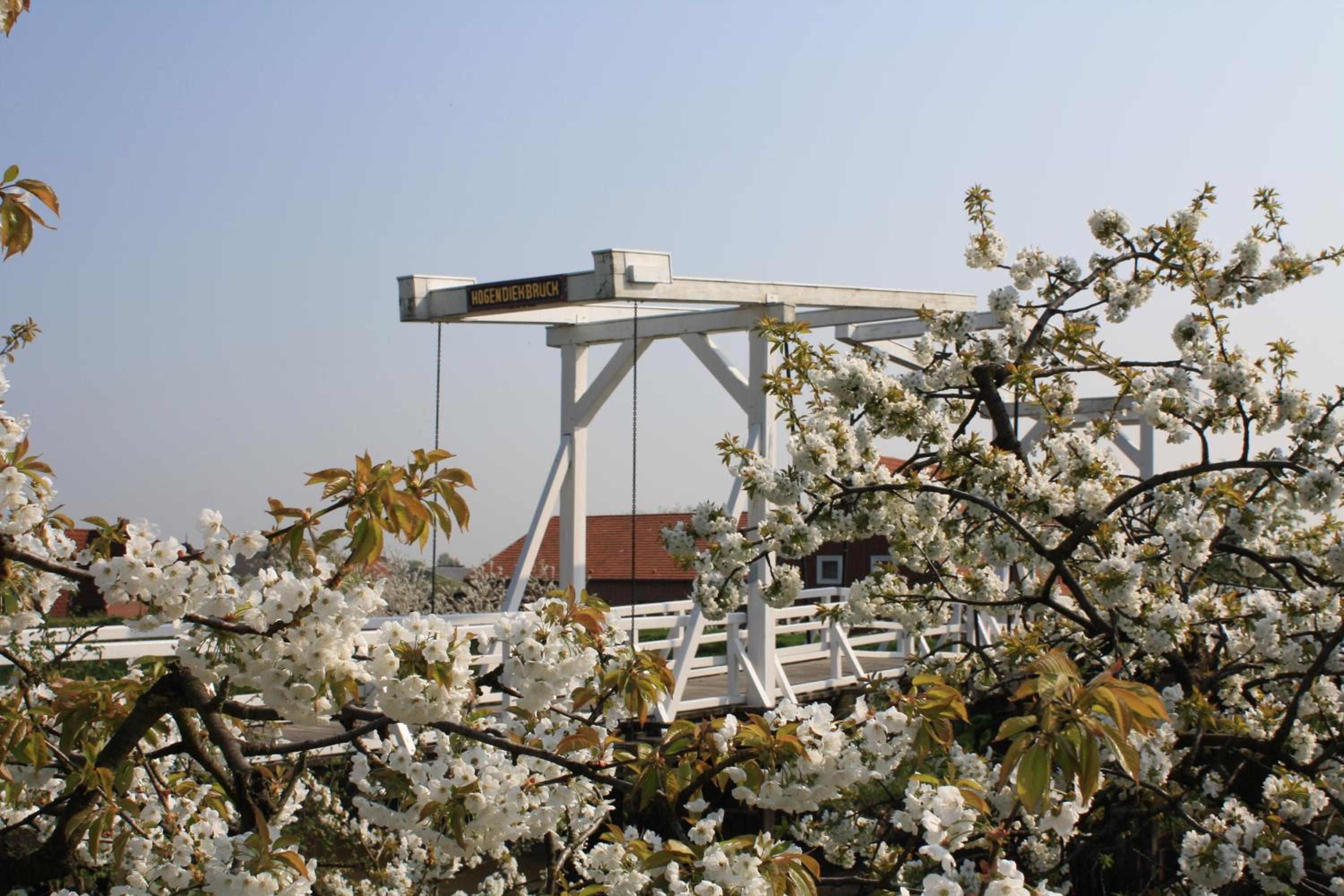 Fewo Elbblick im Haus Lühegarten